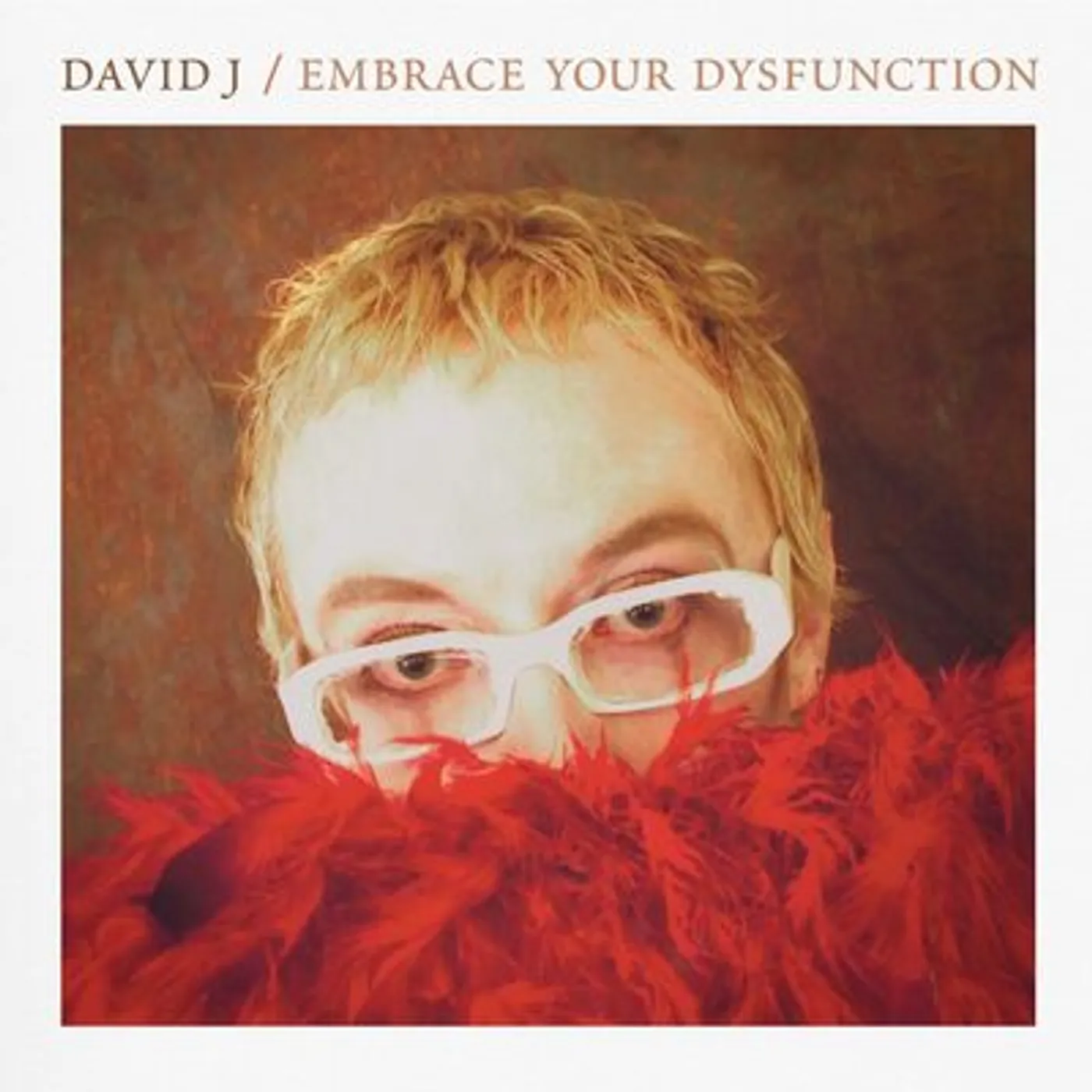 David J LP - Embrace Your Dysfunction (Vinyl)