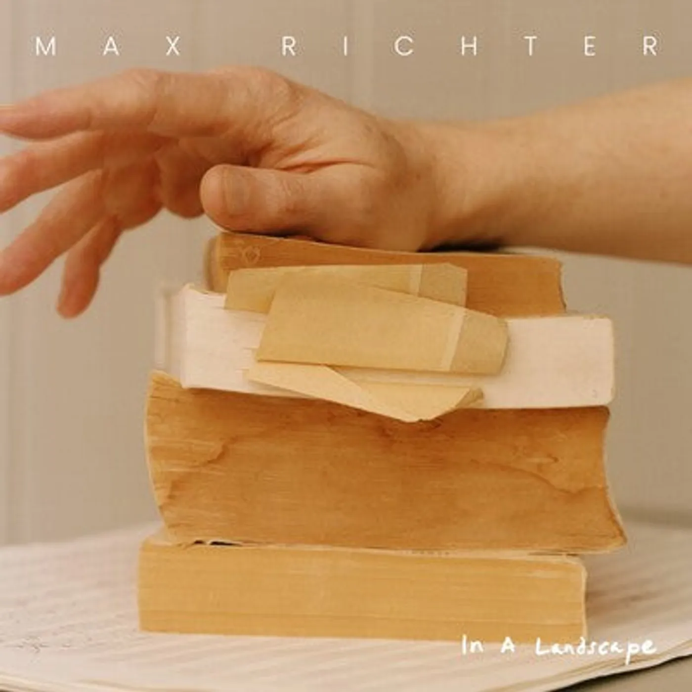 Max Richter LP - Max Richter: In a Landscape (Vinyl)