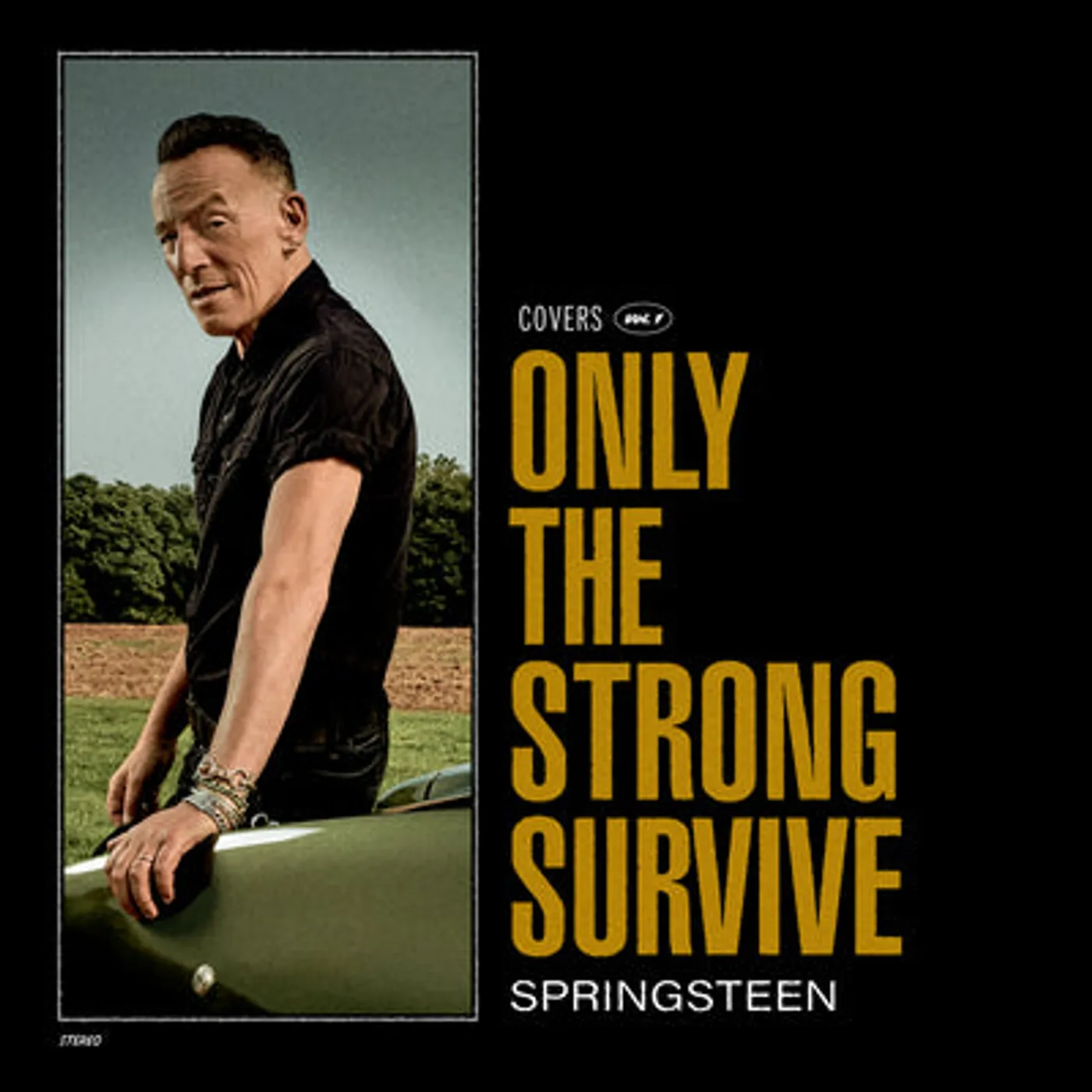 Bruce Springsteen LP - Only the Strong Survive: (Vinyl)