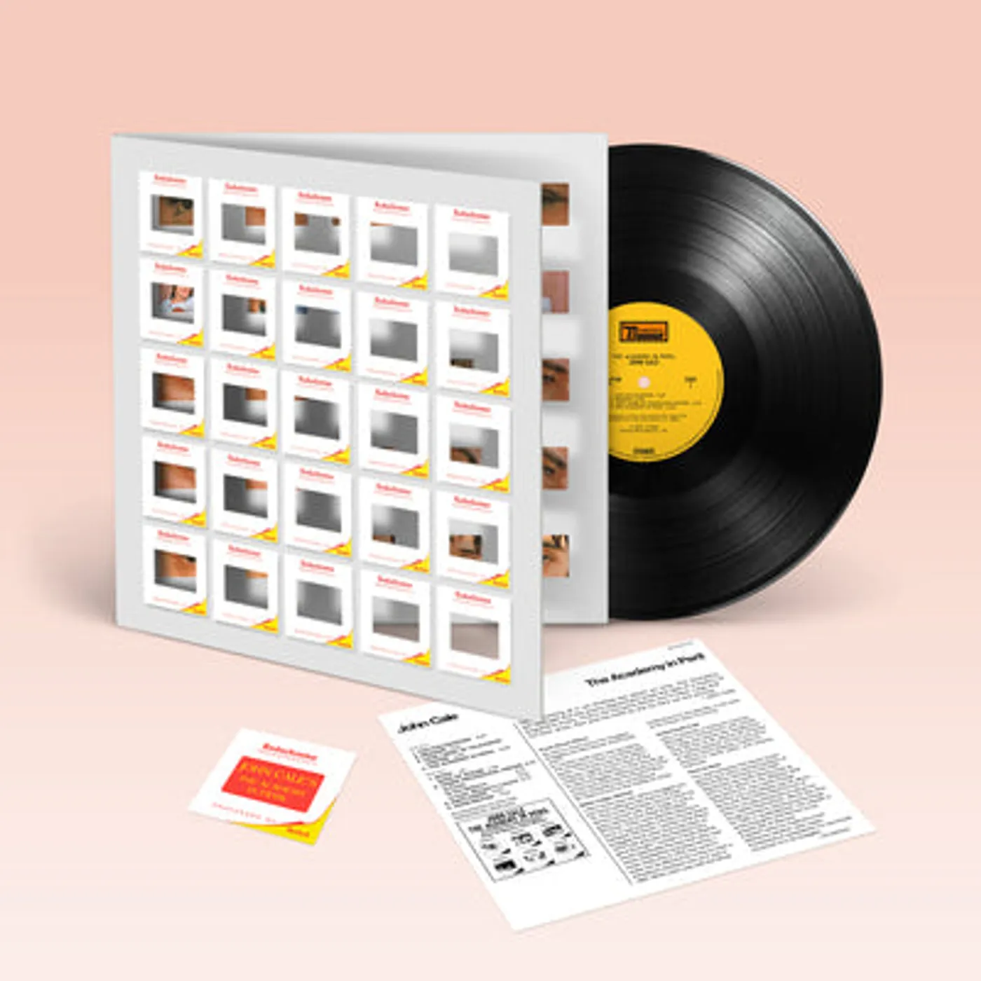 John Cale LP - The Academy in Peril (Vinyl)