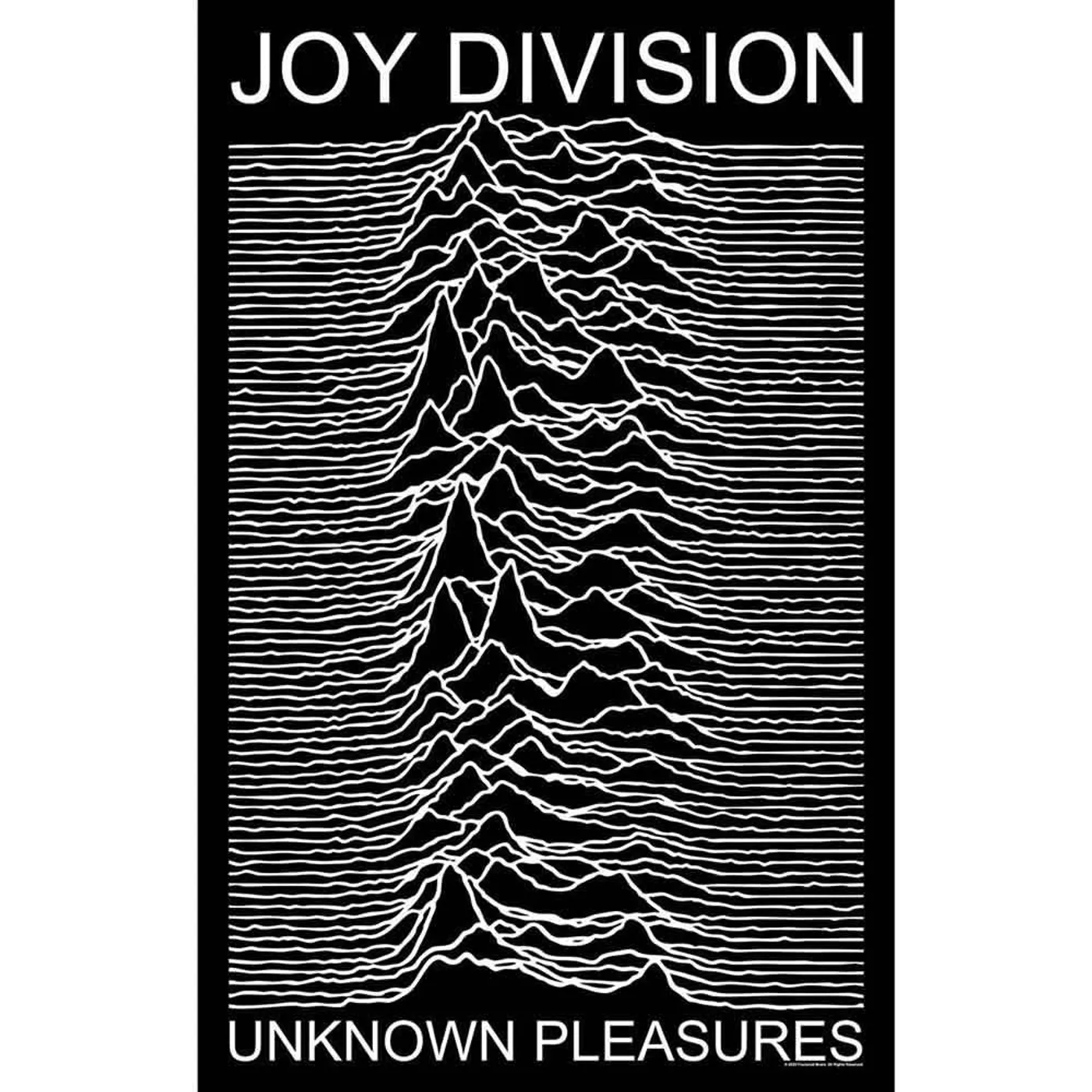 Joy Division Posters - Unknown Pleasures