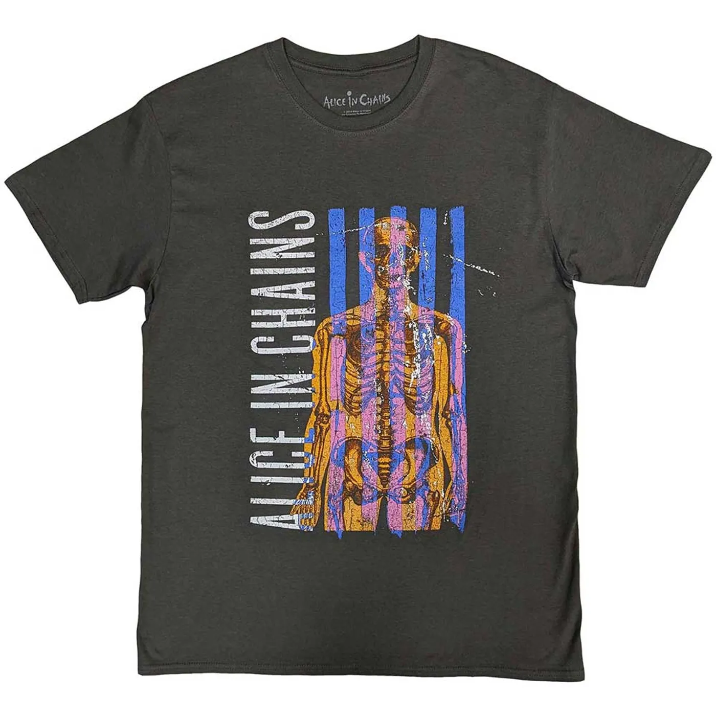 Alice In Chains T Shirt - Skeletal