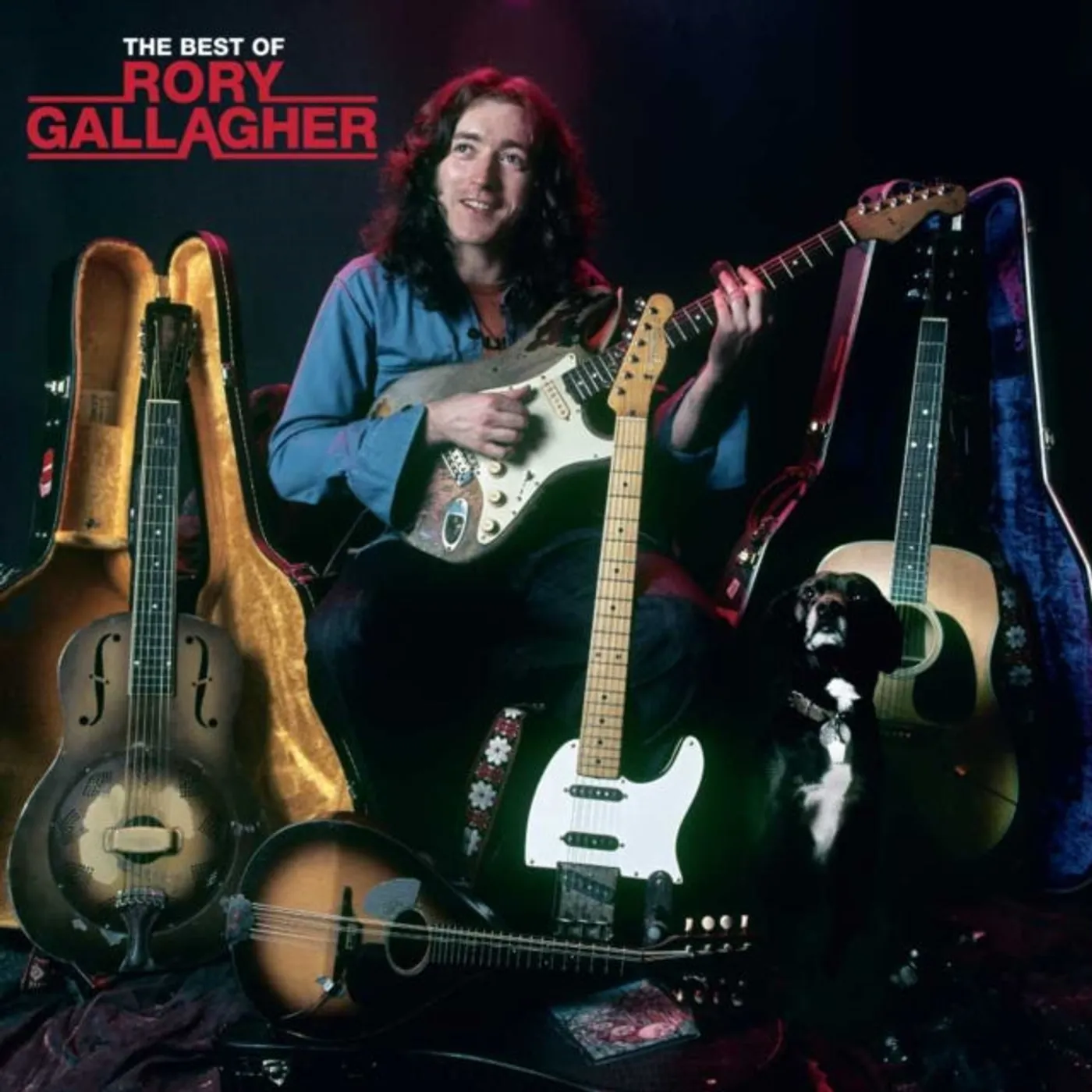 Rory Gallagher LP Vinyl Record - The Best Of