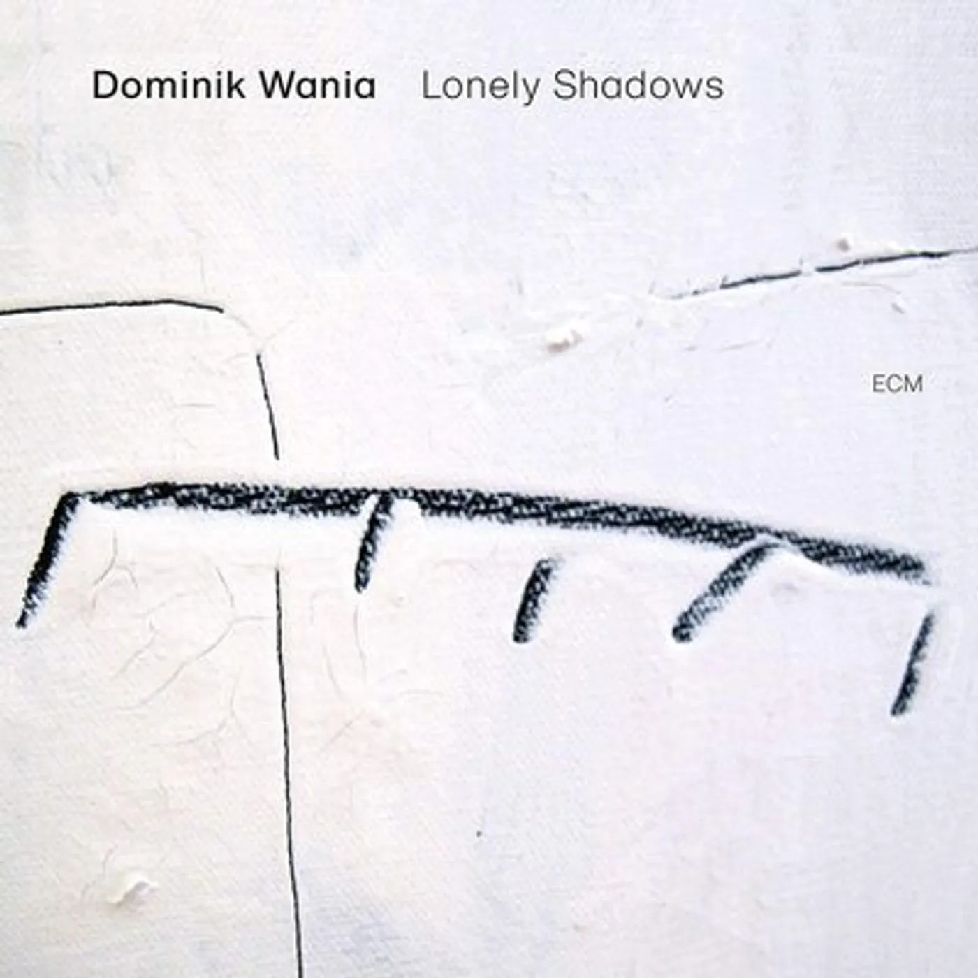 Dominik Wania LP - Lonely Shadows (Vinyl)