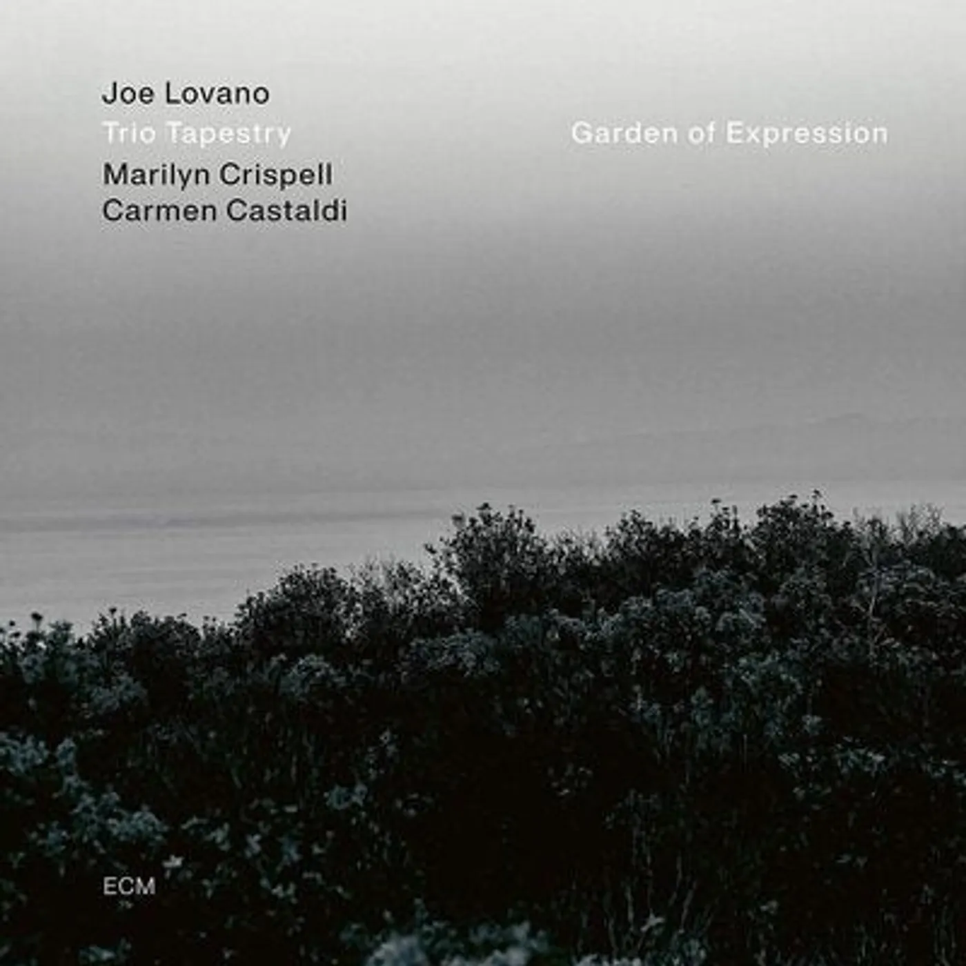 Joe Lovano LP - Garden Of Expression (Vinyl)
