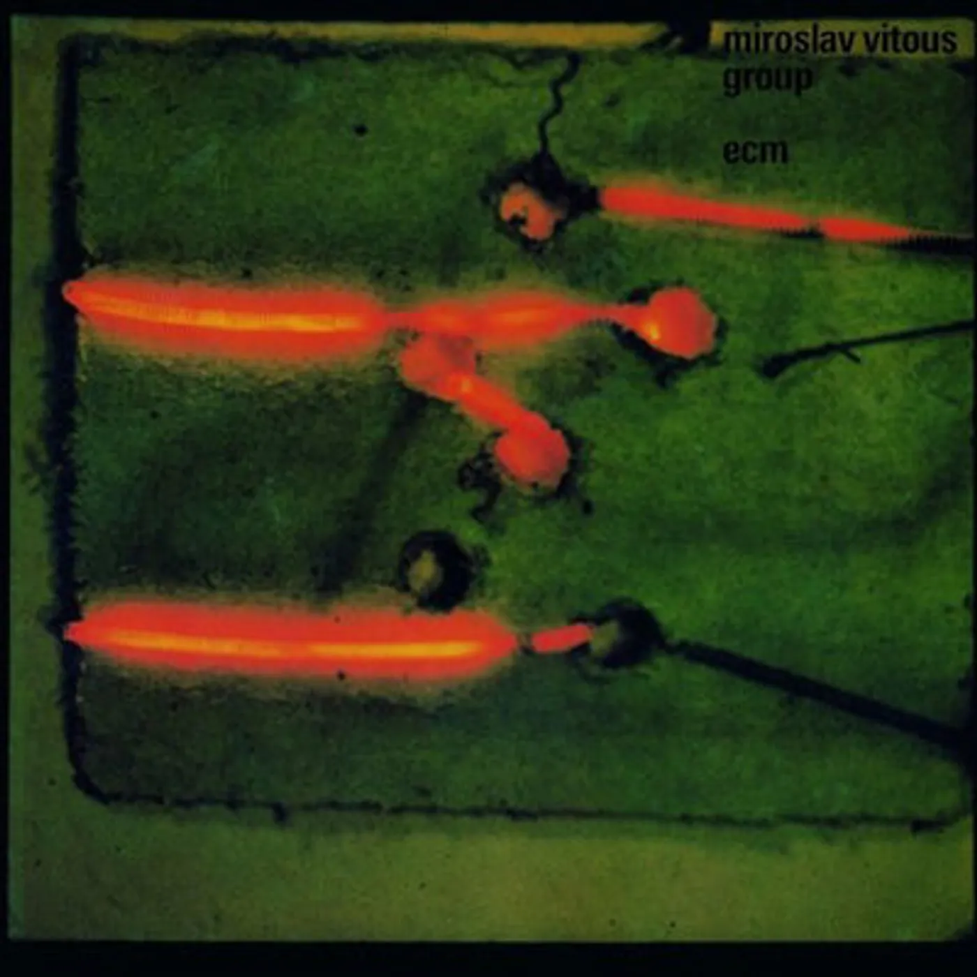 Miroslav Vitous Group LP - Miroslav Vitous G (180G Vinyl)