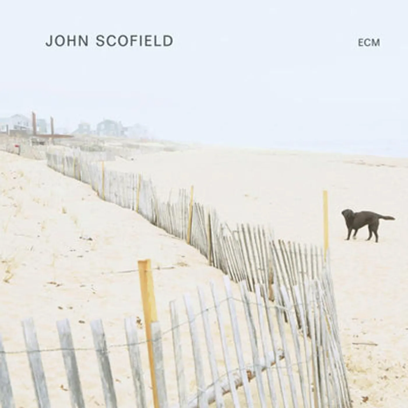John Scofield LP - John Scofield (Vinyl)