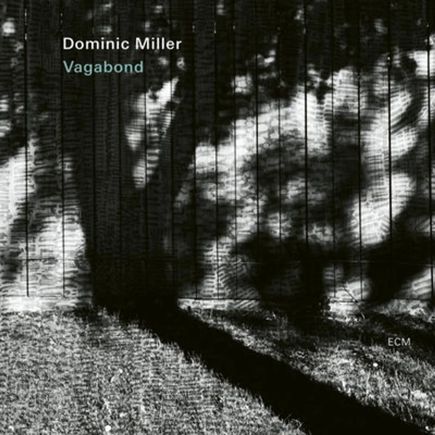 Dominic Miller LP - Vagabond (Vinyl)