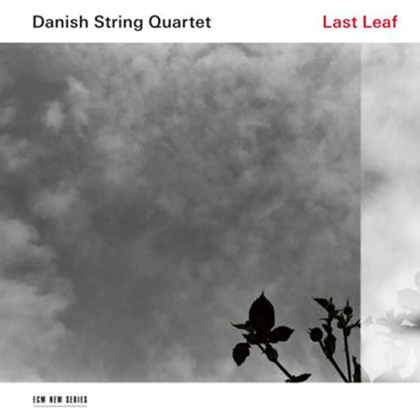 Danish String Quartet LP - Last Leaf (Vinyl)