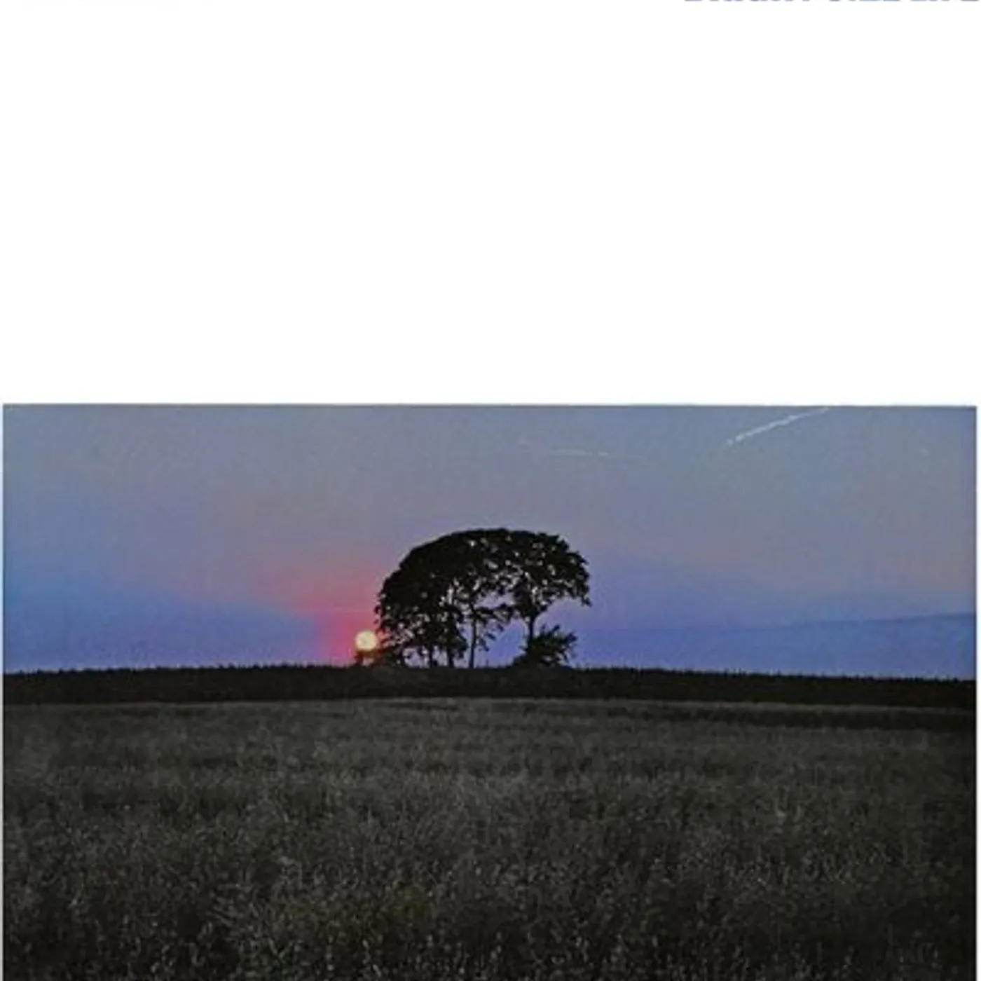 Pat Metheny Group LP - Bright Size Life (Vinyl)