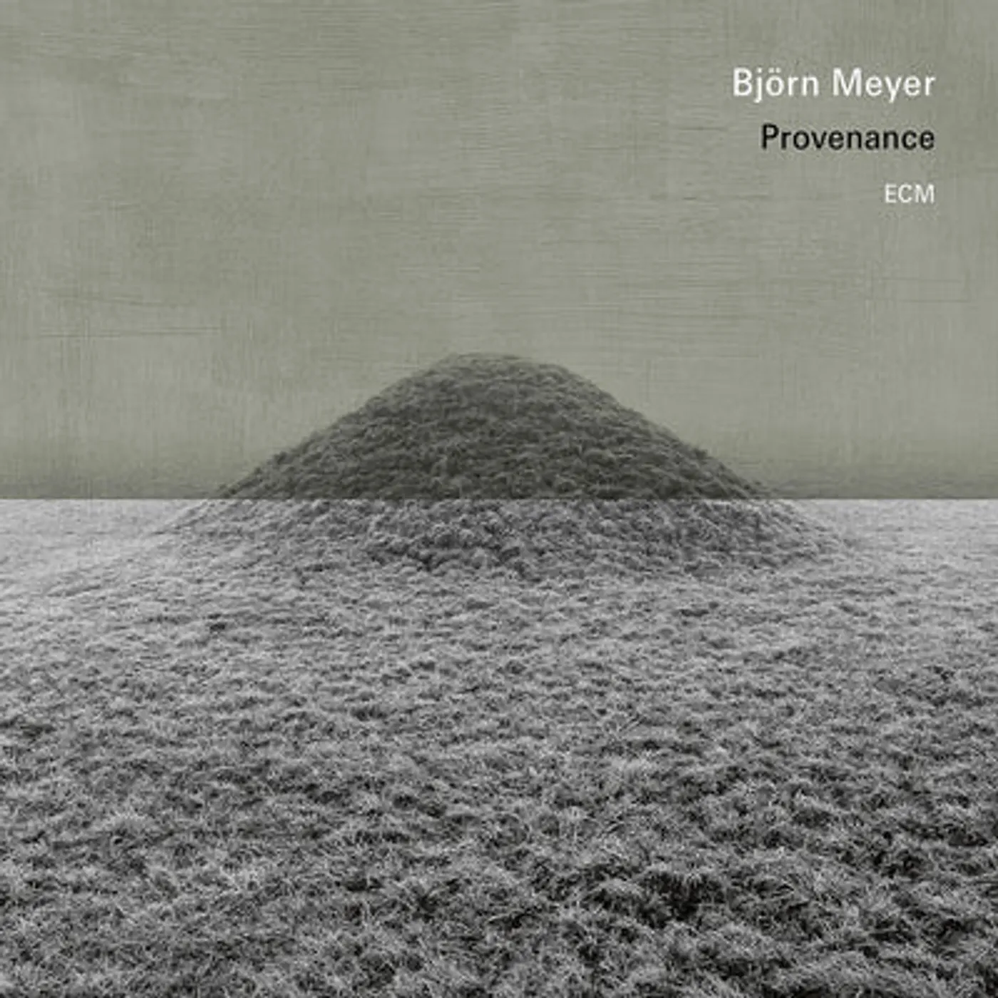Björn Meyer LP - Provenance (Vinyl)