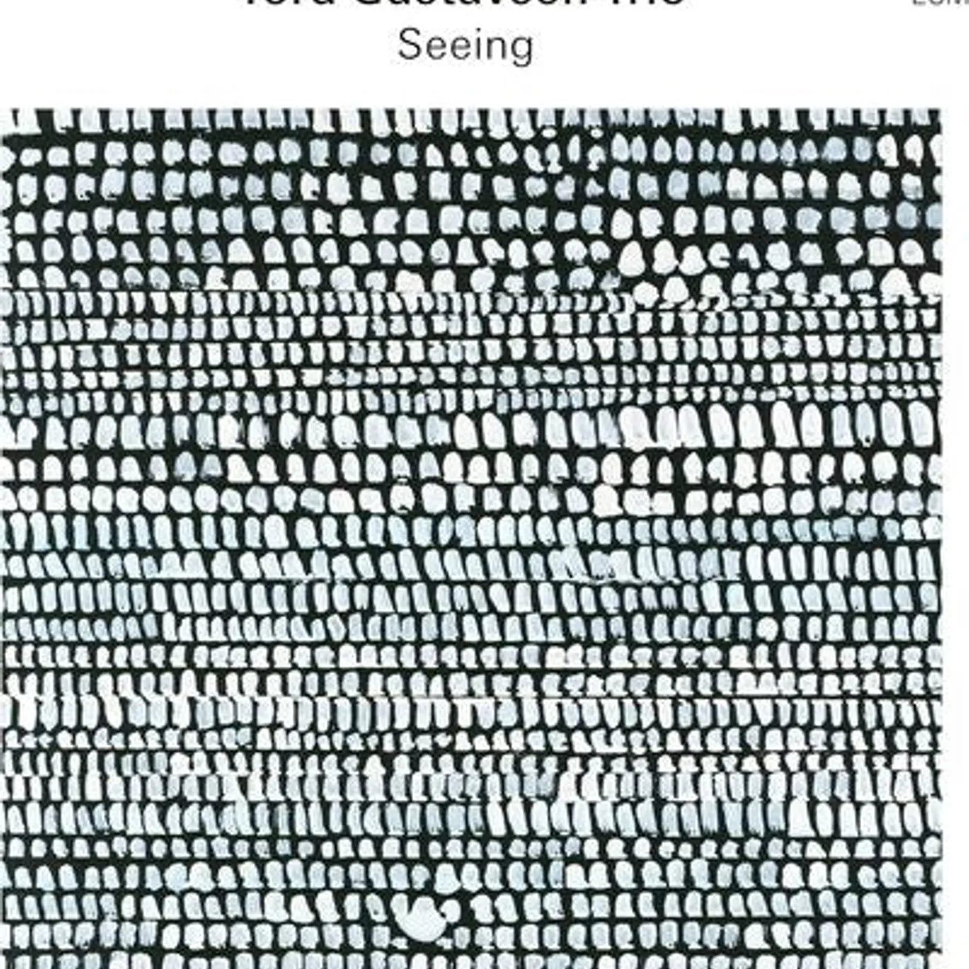 Tord Gustavsen Trio LP - Tord Gustavsen Trio - Seeing (Vinyl)