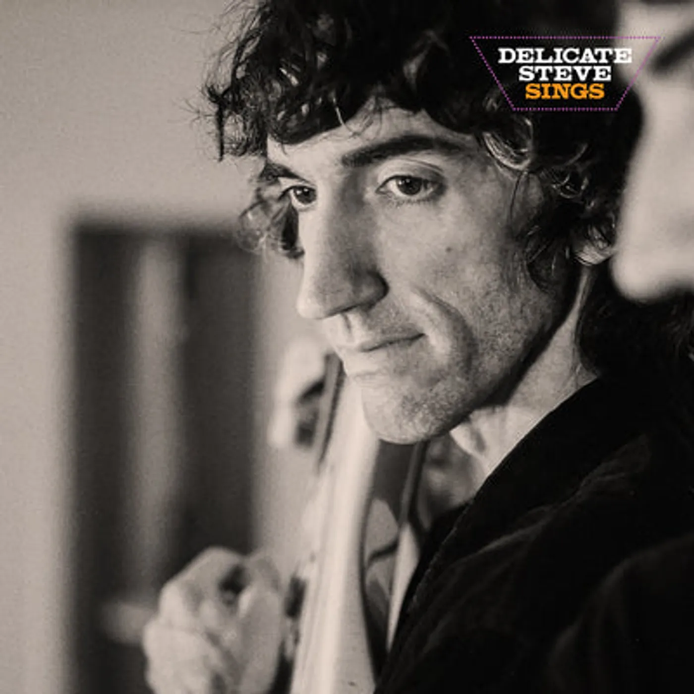 Delicate Steve LP - Delicate Steve Sings (Vinyl)