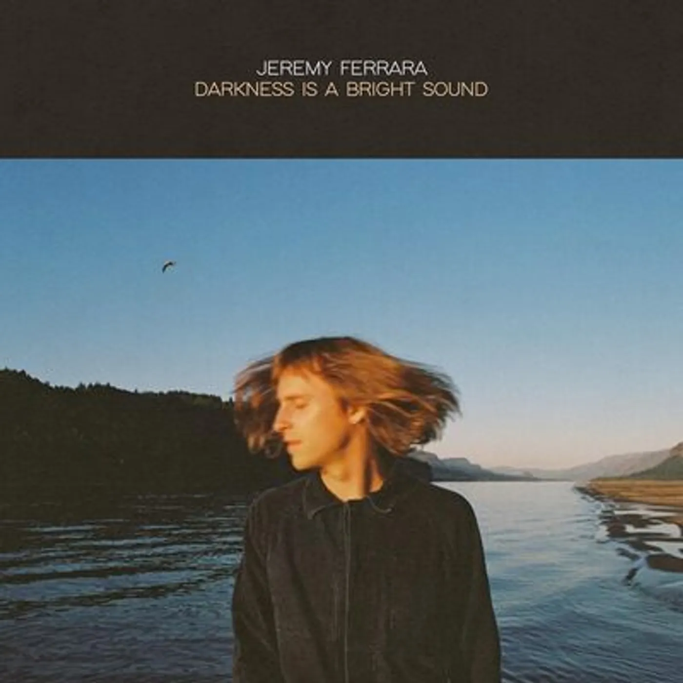 Jeremy Ferrara LP - Darkness Is A Bright Sound (Vinyl)