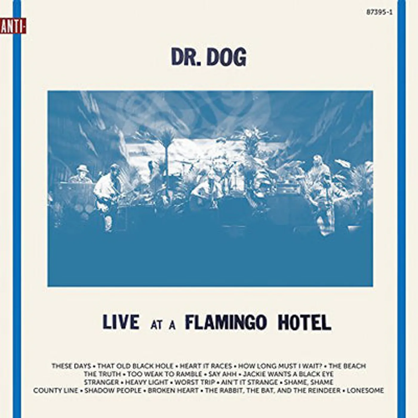 Dr. Dog LP - Live At The Flamingo Hotel (Vinyl)