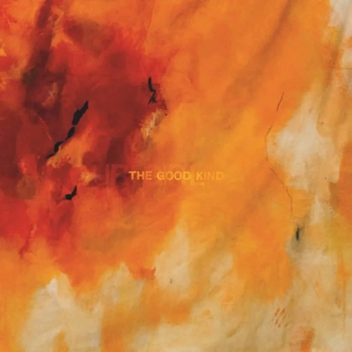 Our Girl LP - The Good Kind (Vinyl)