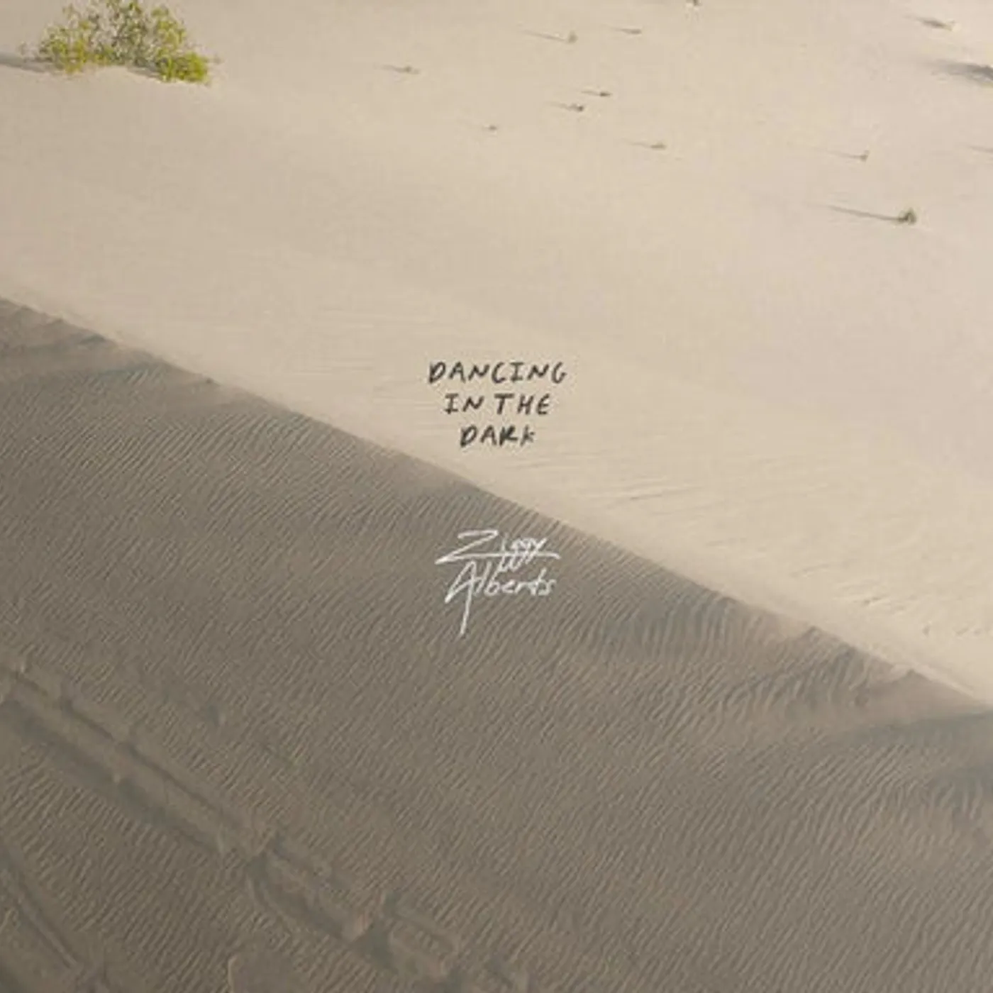 Ziggy Alberts LP - Dancing In The Dark (Vinyl)