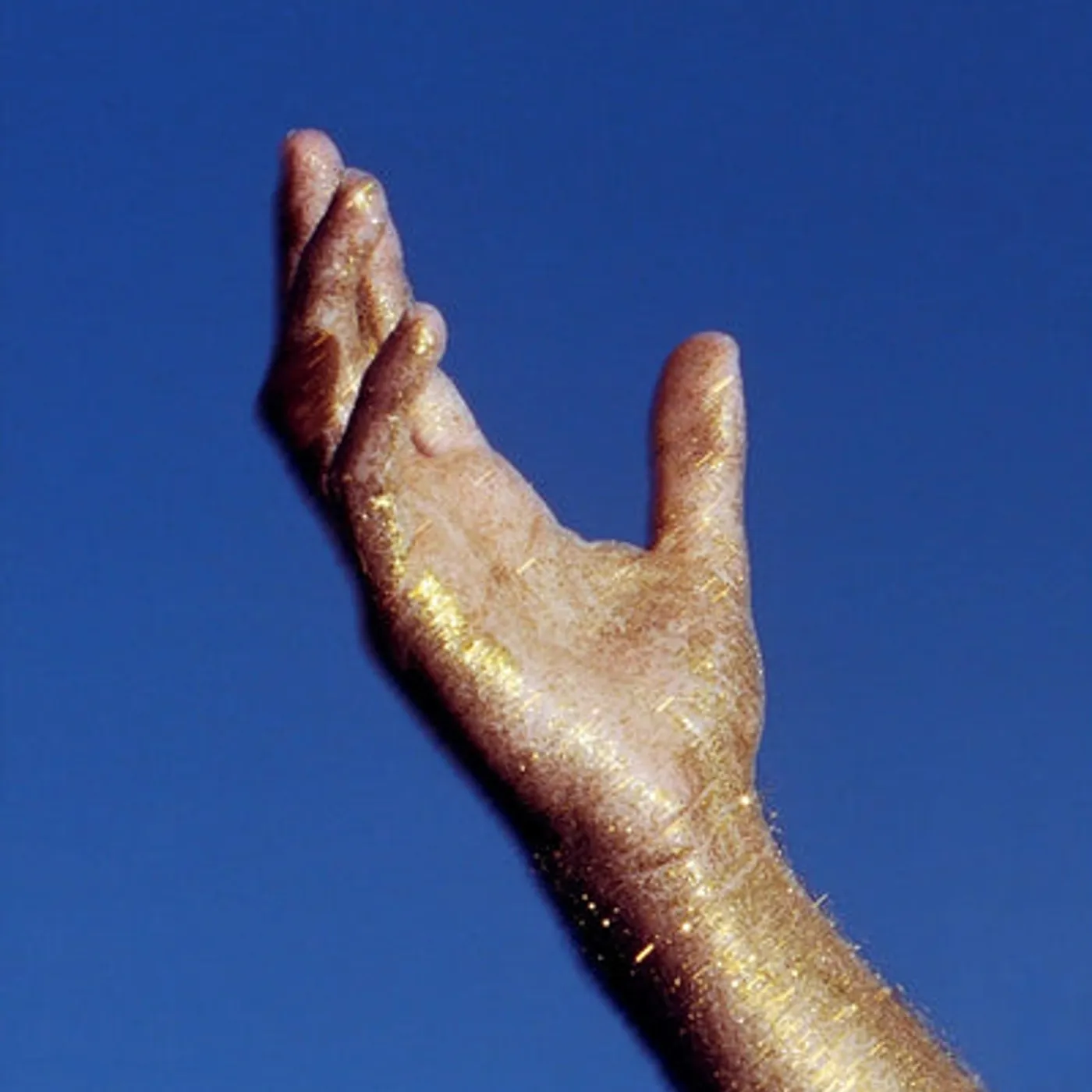 The Radicant LP - We Ascend (Vinyl)