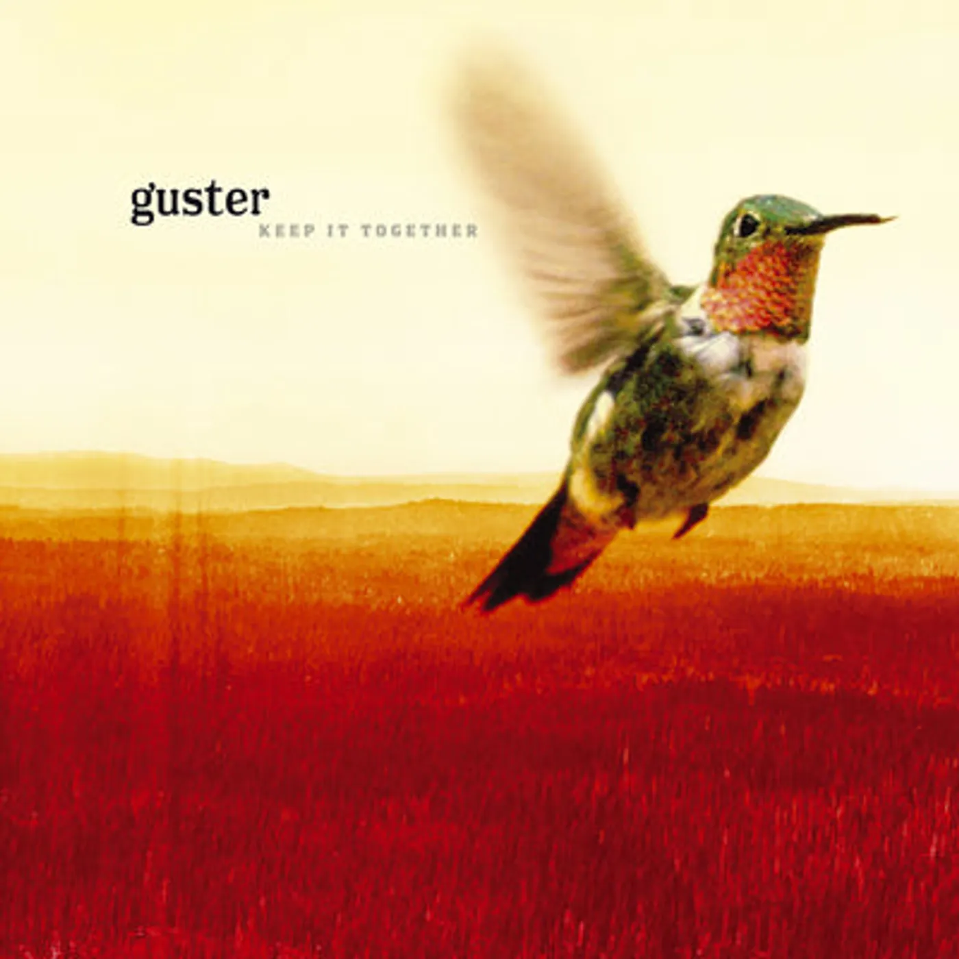 Guster LP - Keep It Together (Vinyl)