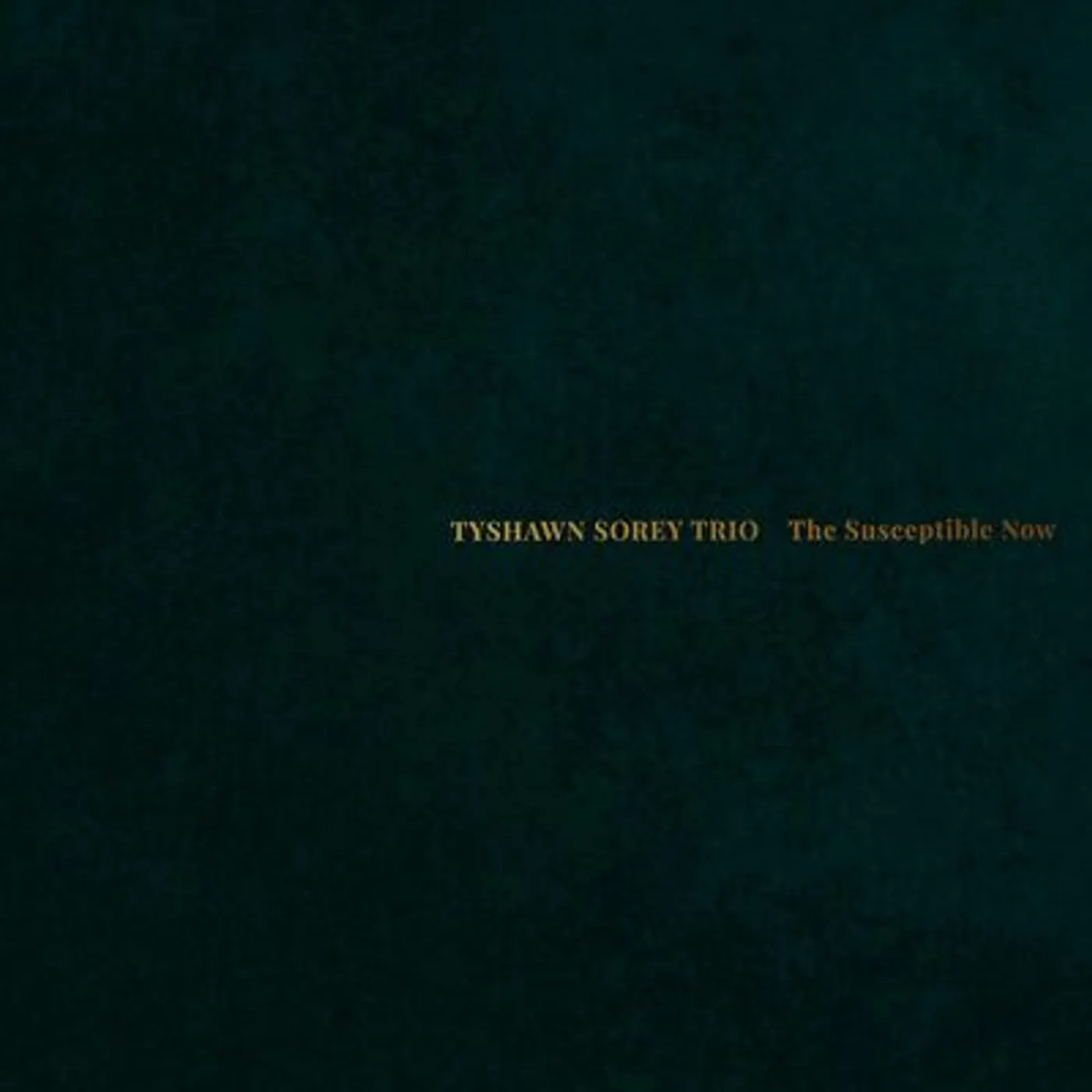 Tyshawn Sorey LP - The Susceptible Now (Vinyl)