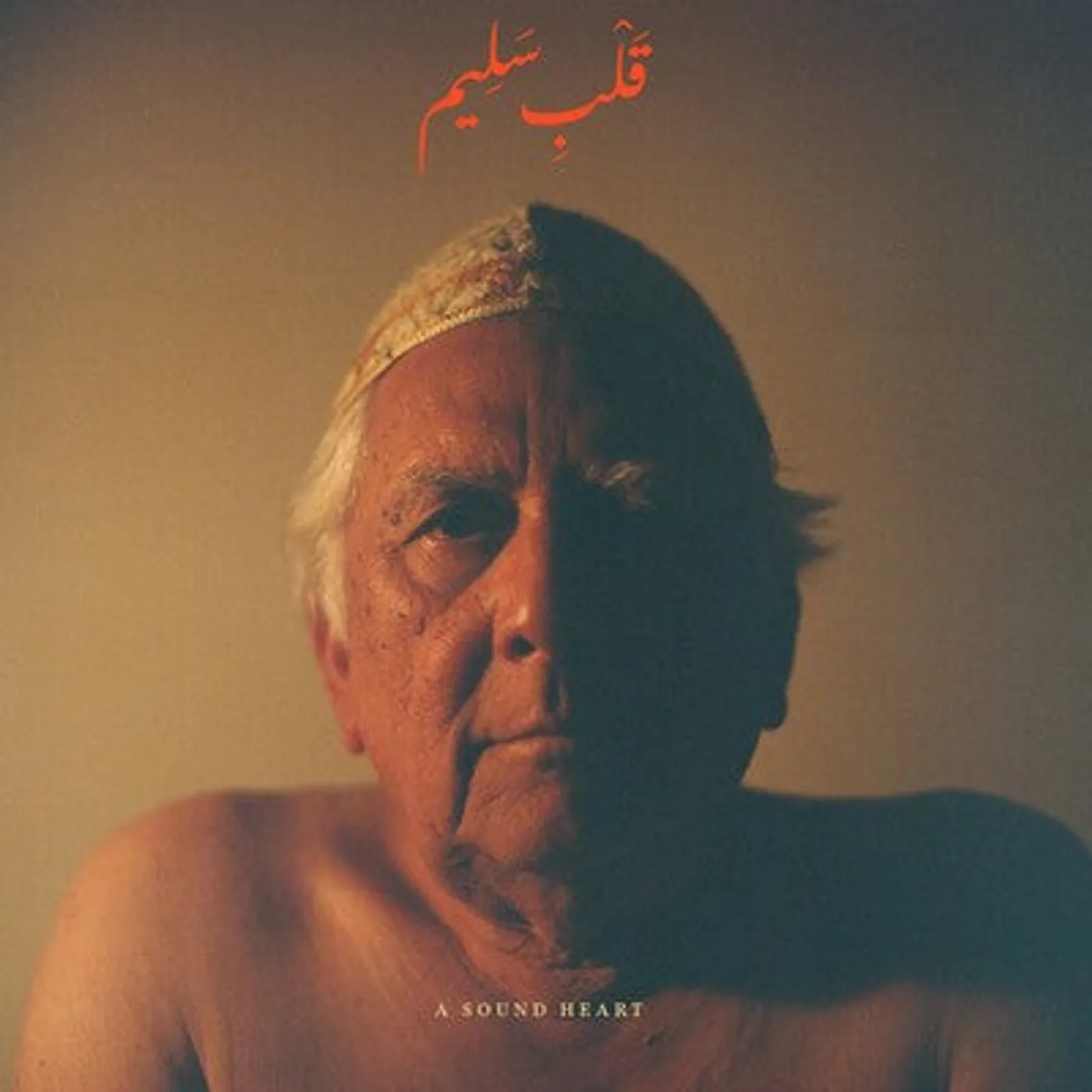 Jaubi LP - A Sound Heart (Vinyl)