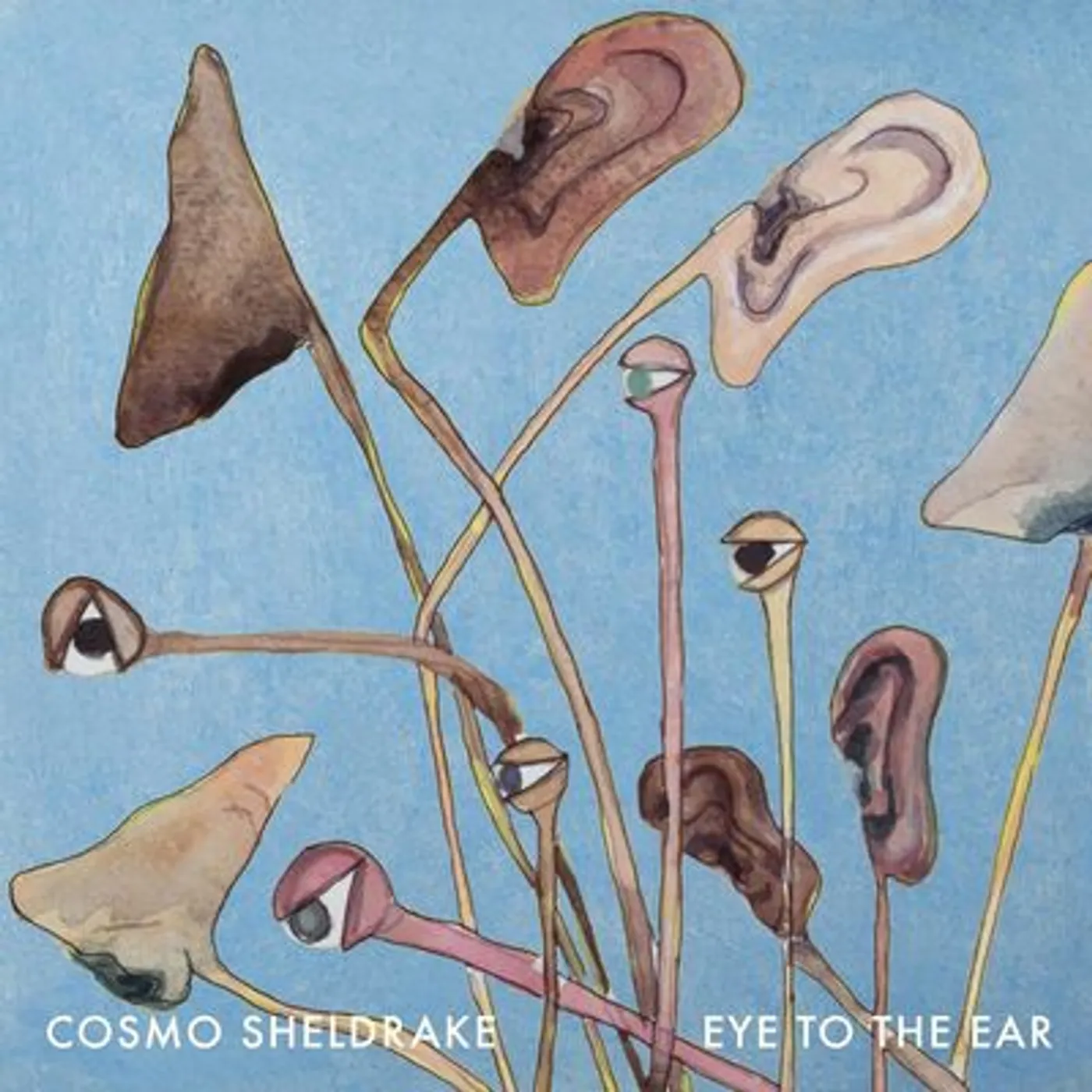Cosmo Sheldrake LP - Eye To The Ear (Vinyl)