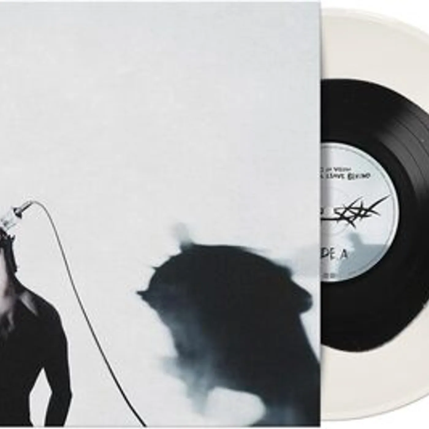 Void Of Vision LP - What Ill Leave Behin (Vinyl)