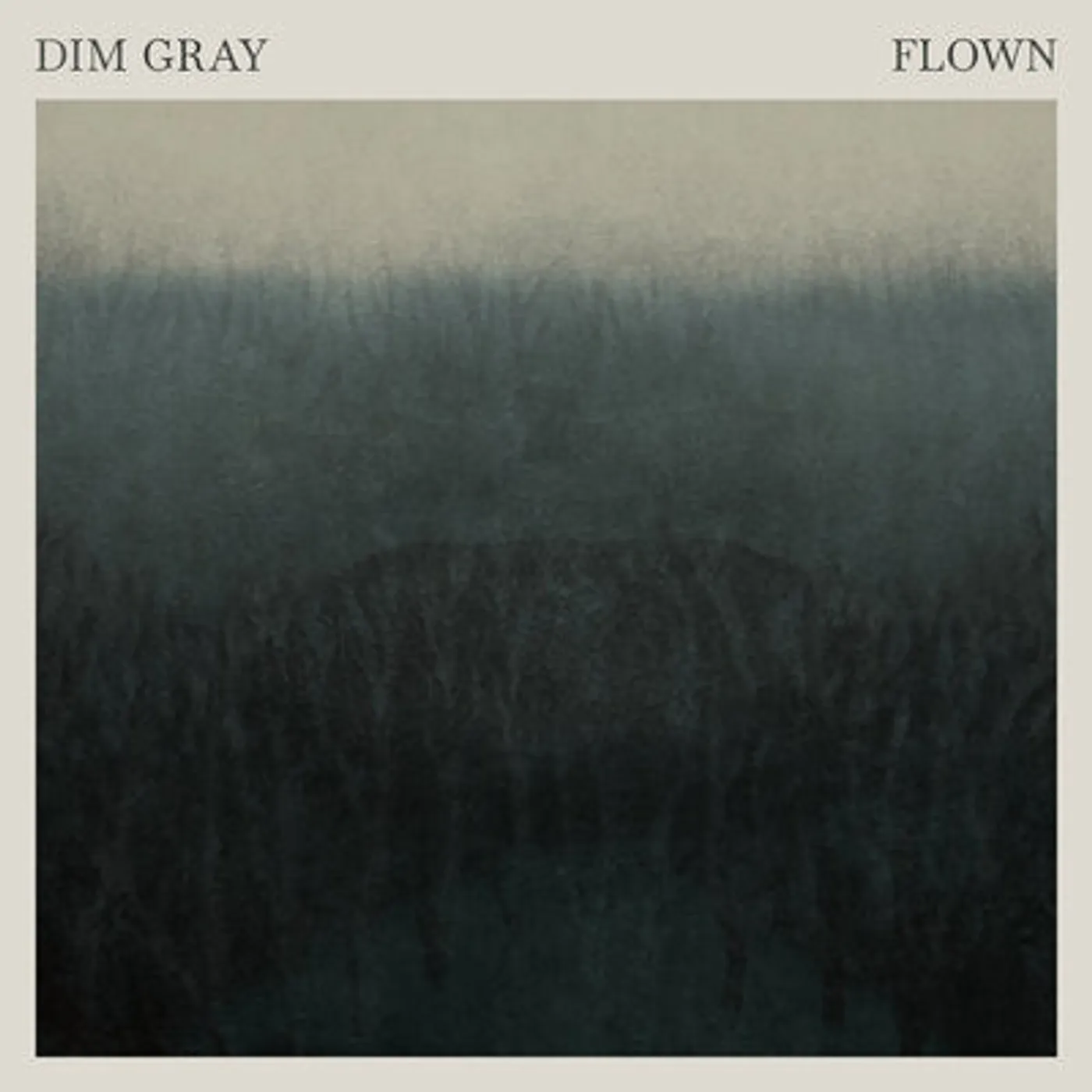 Dim Gray LP - Flown (Vinyl)