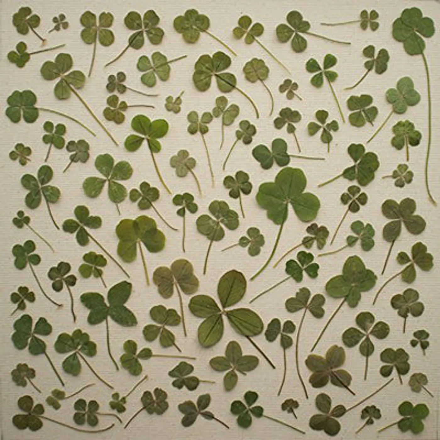 Daniel Martin Moore LP - Turned Over To Dreams (Vinyl)