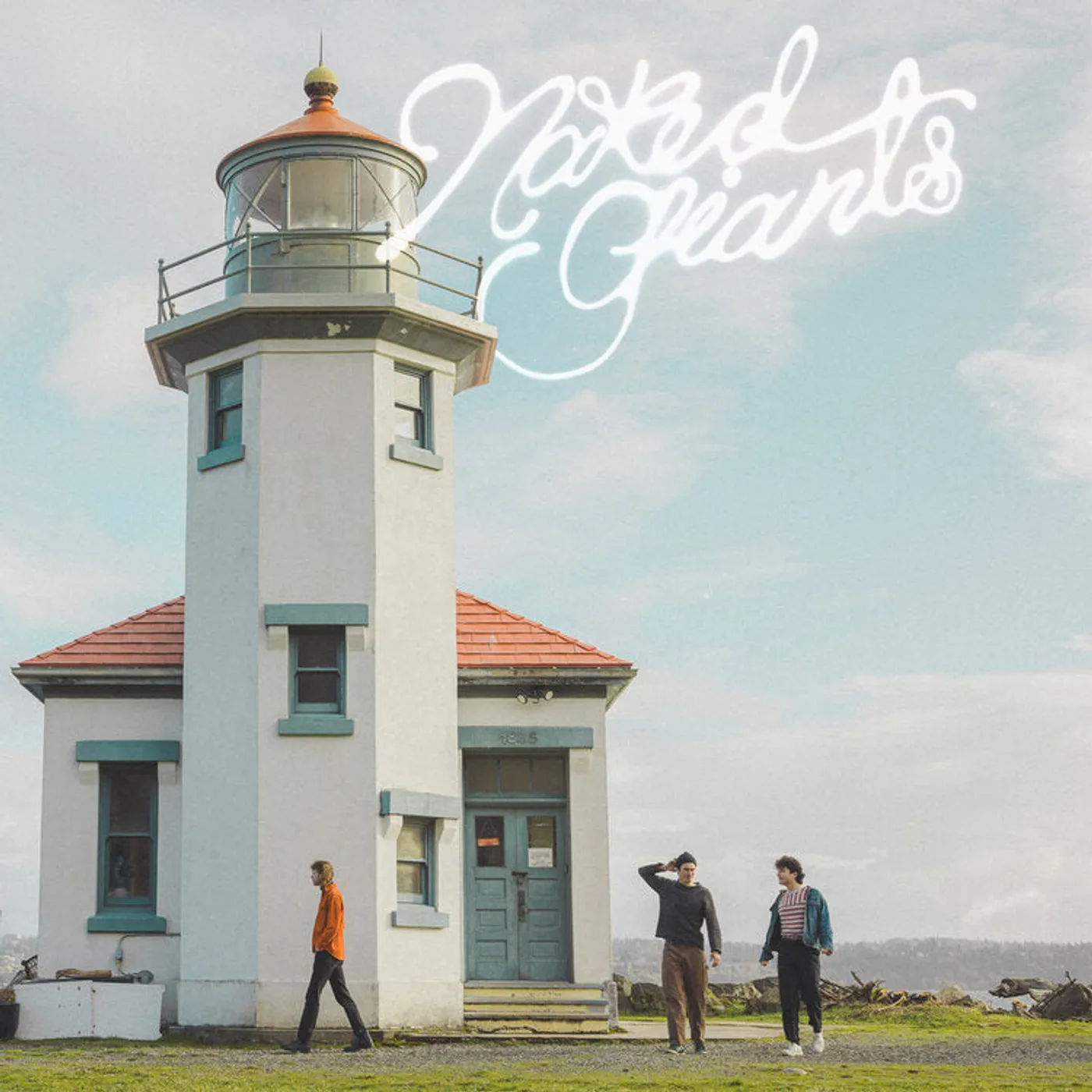 Naked Giants LP - Shine Away (Vinyl)