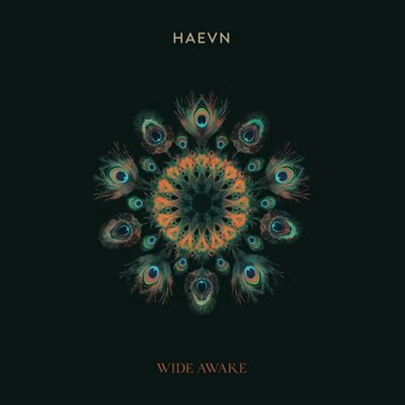 Haevn LP - Wide Awake (Vinyl)