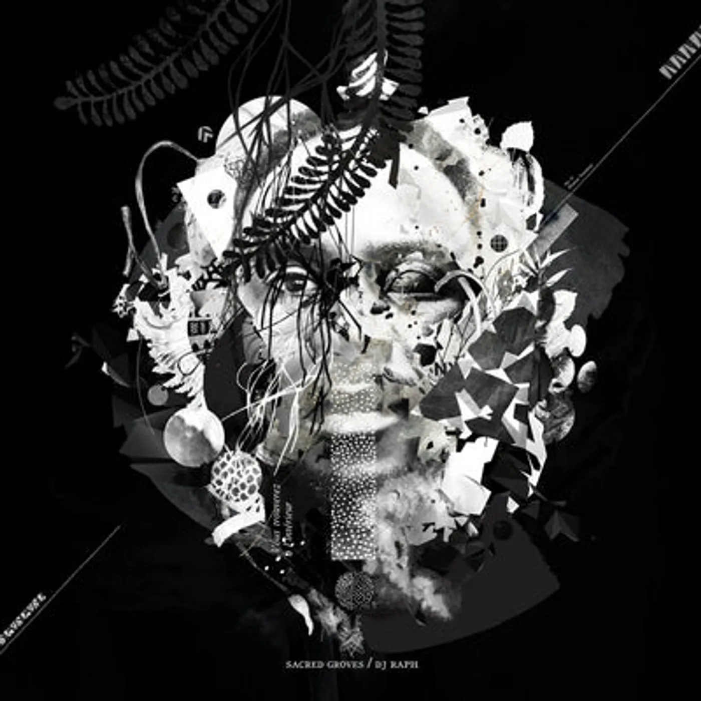 Dj Raph LP - Sacred Groves (Vinyl)