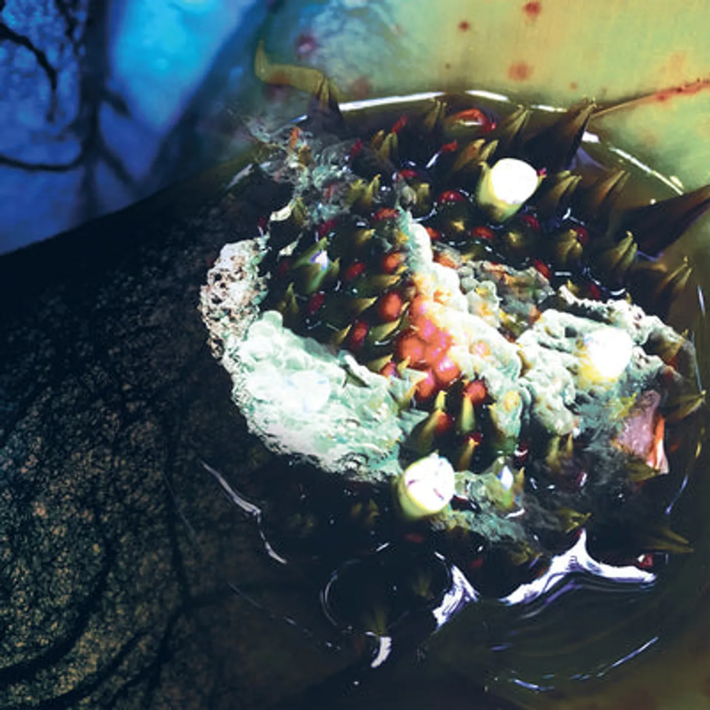 Julia Reidy LP - In Real Life (Vinyl)