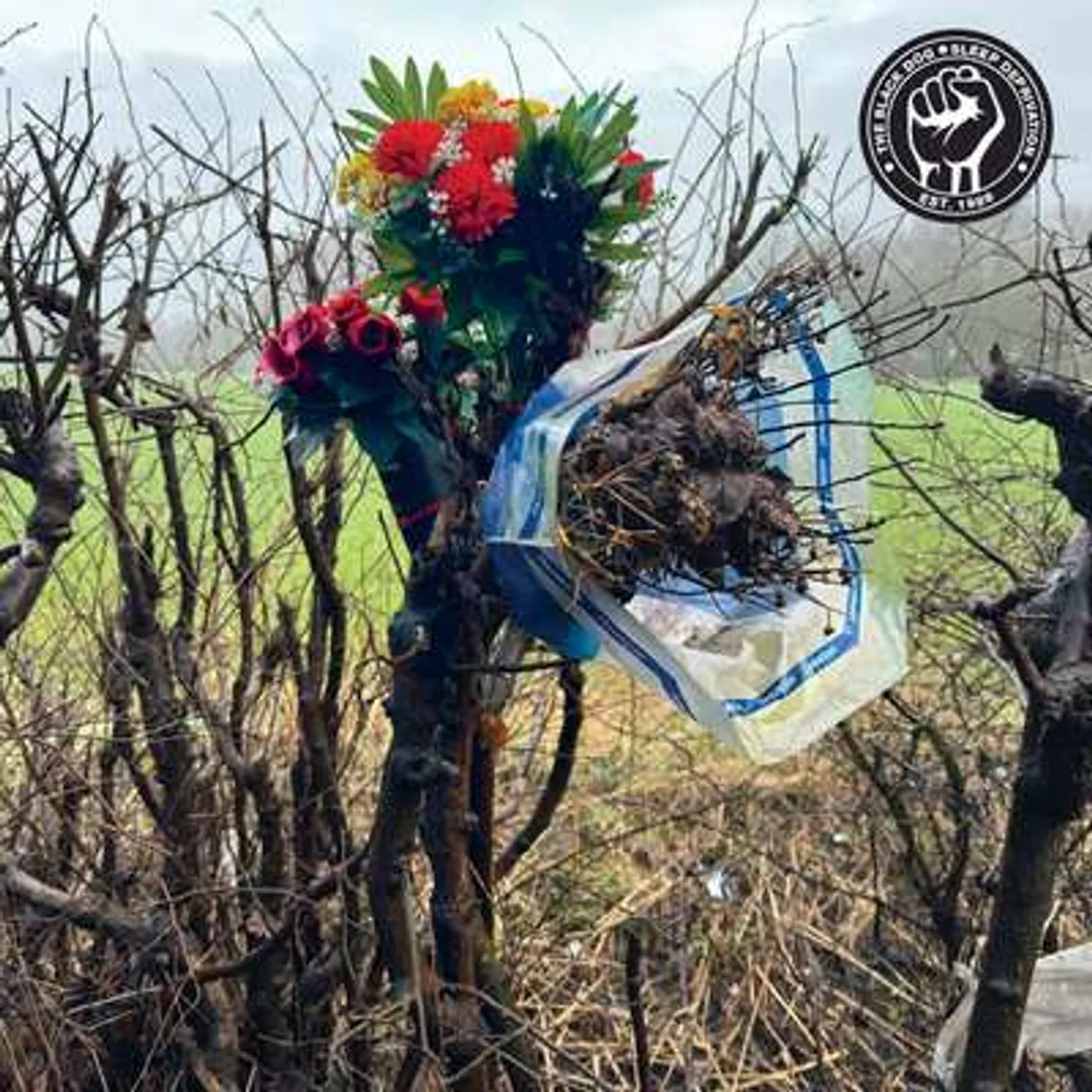 The Black Dog LP - Sleep Deprivation (Vinyl)