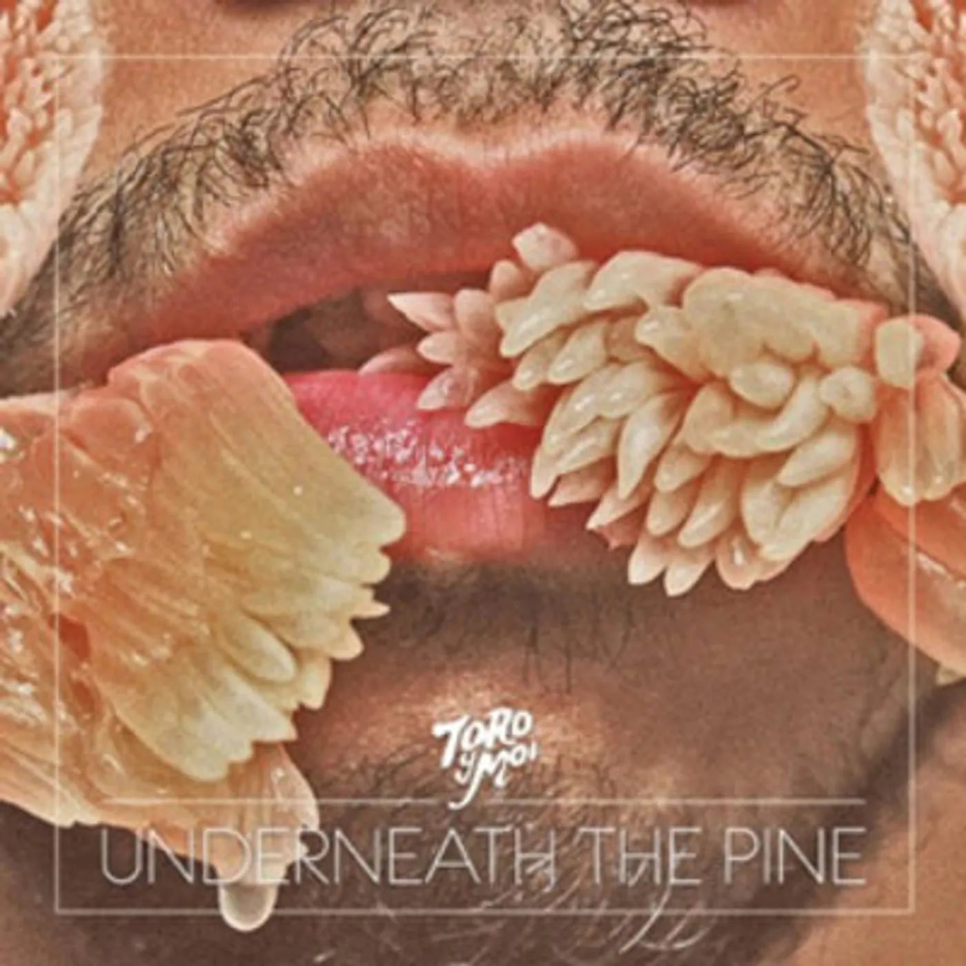 Toro Y Moi LP - Underneath The Pine (Vinyl)