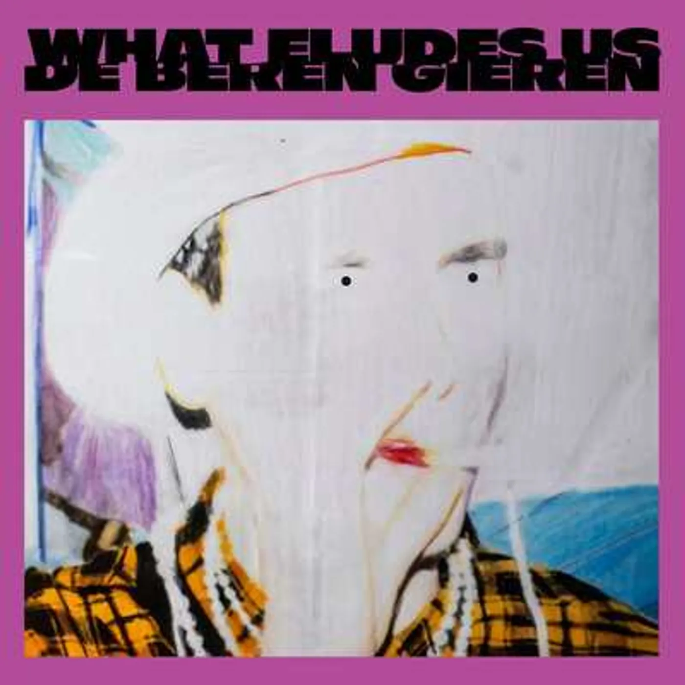 De Beren Gieren LP - What Eludes Us (Vinyl)