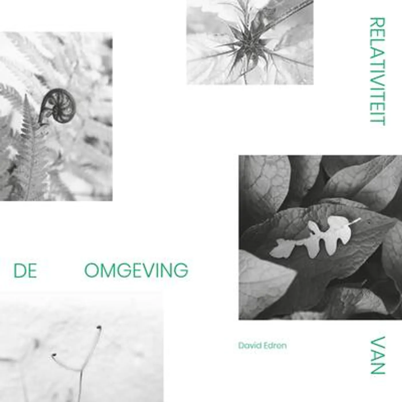 David Edren LP - Relativiteit Van De Omgeving (Vinyl)