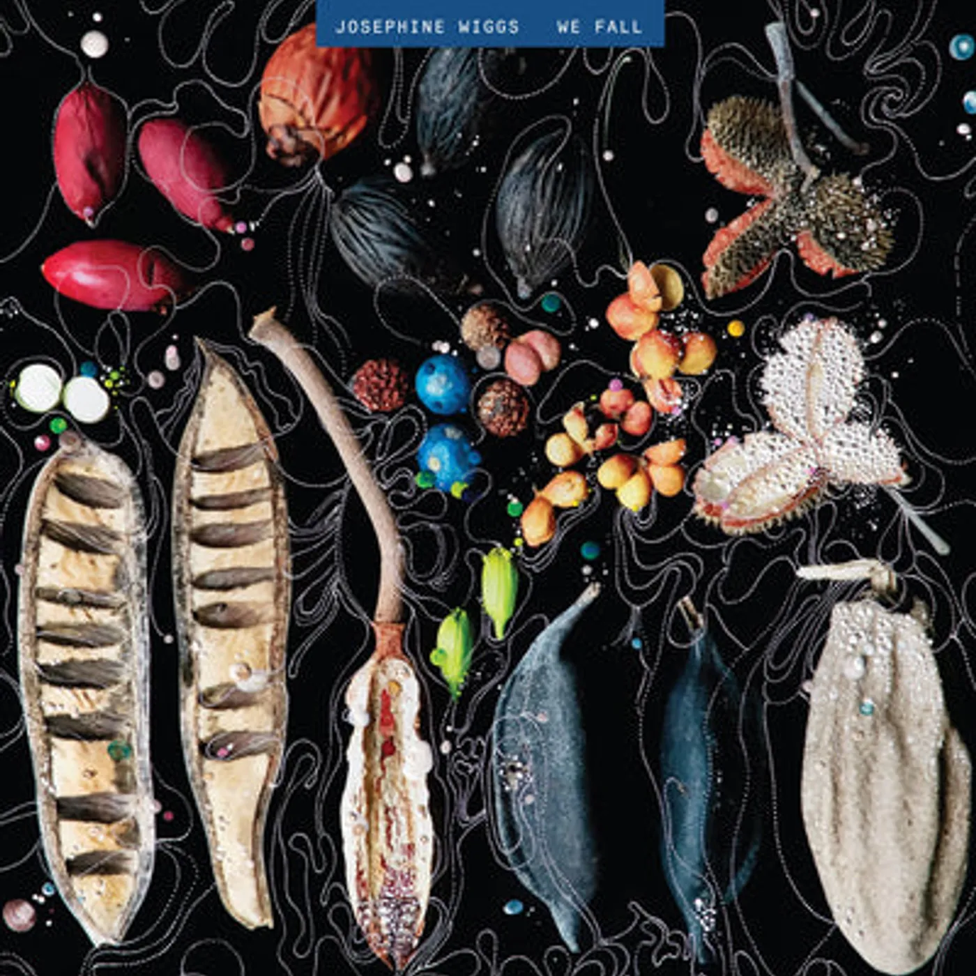 Josephine Wiggs LP - We Fall (Vinyl)