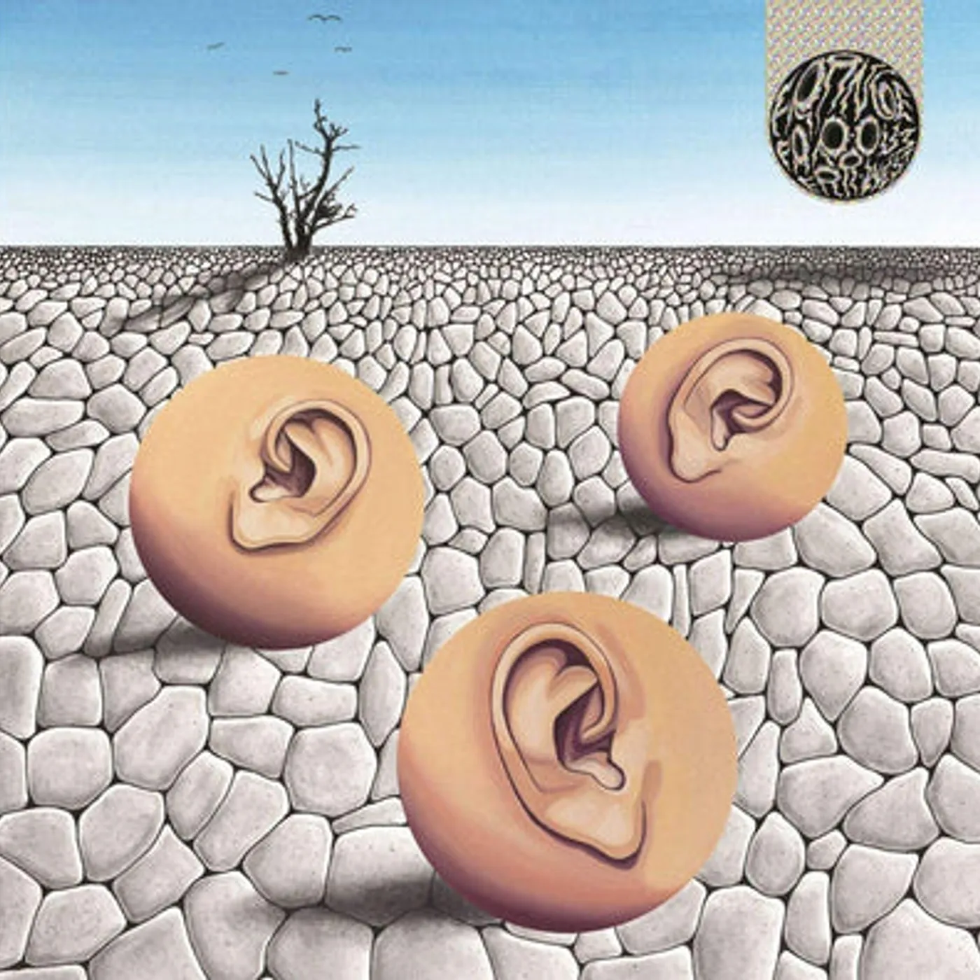 France LP - Far Out Far West (Vinyl)