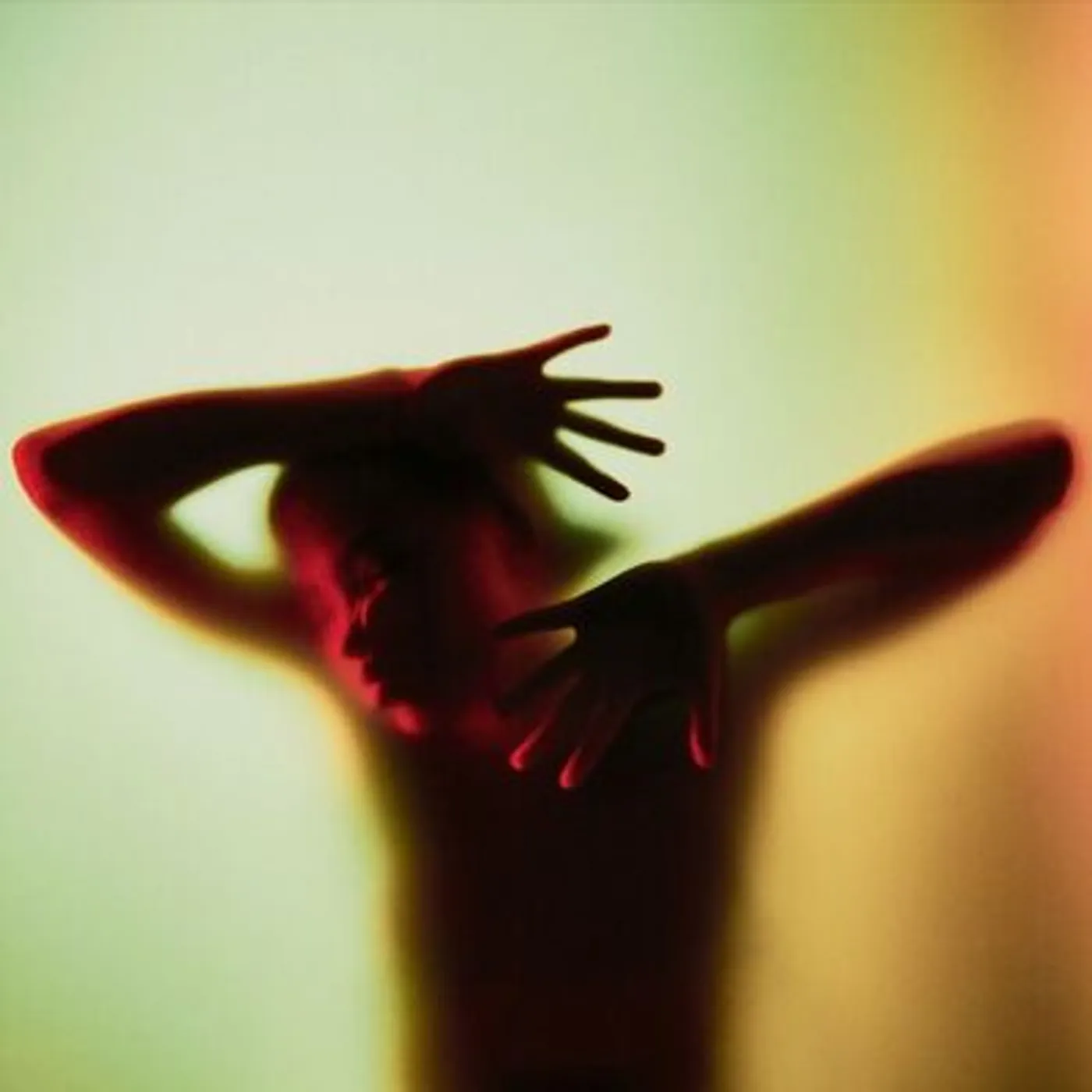 Filmmaker LP - Hollywood Cult (Vinyl)