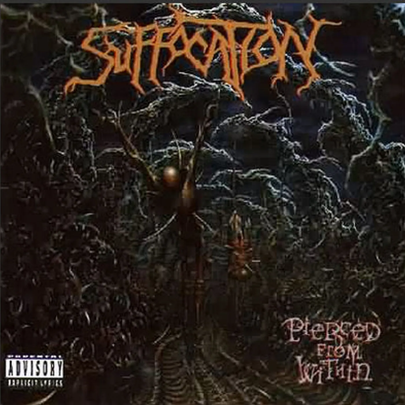 Suffocation LP - Pierced From Within (Vinyl)