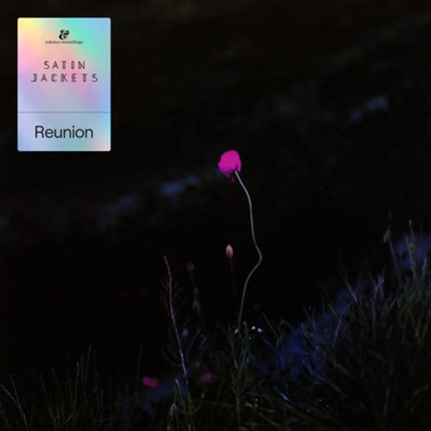 Satin Jackets LP - Reunion (Vinyl)