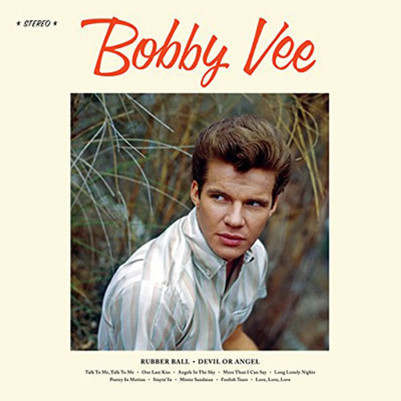 Bobby Vee LP - Bobby Vee (Vinyl)