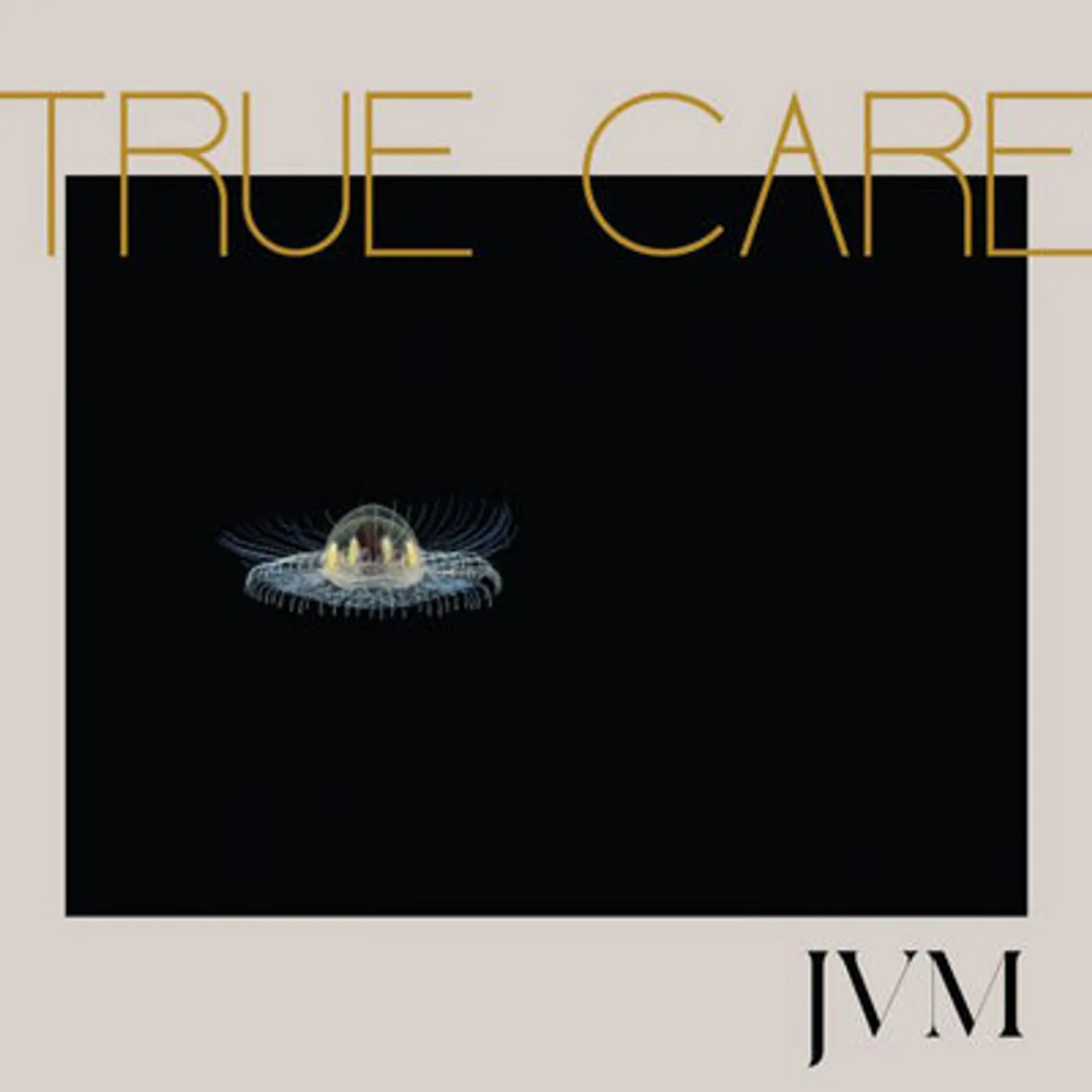 James Vincent Mcmorrow LP - True Care (Vinyl)