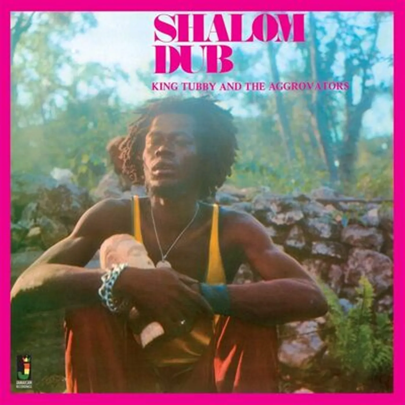 King Tubby And The Aggrovators LP - Shalom Dub (Vinyl)