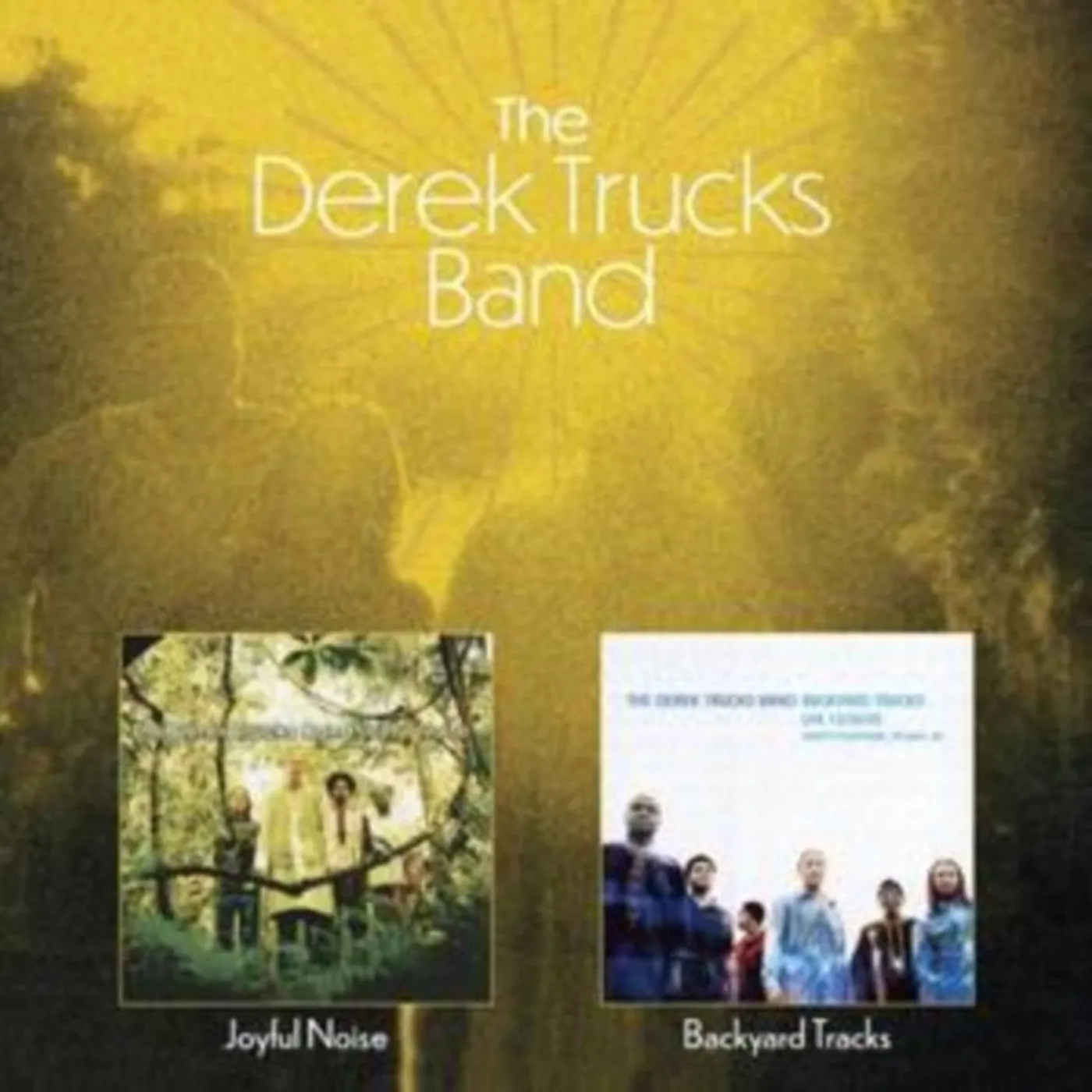 The Derek Trucks Band CD - Joyful Noise / Backyard Tracks