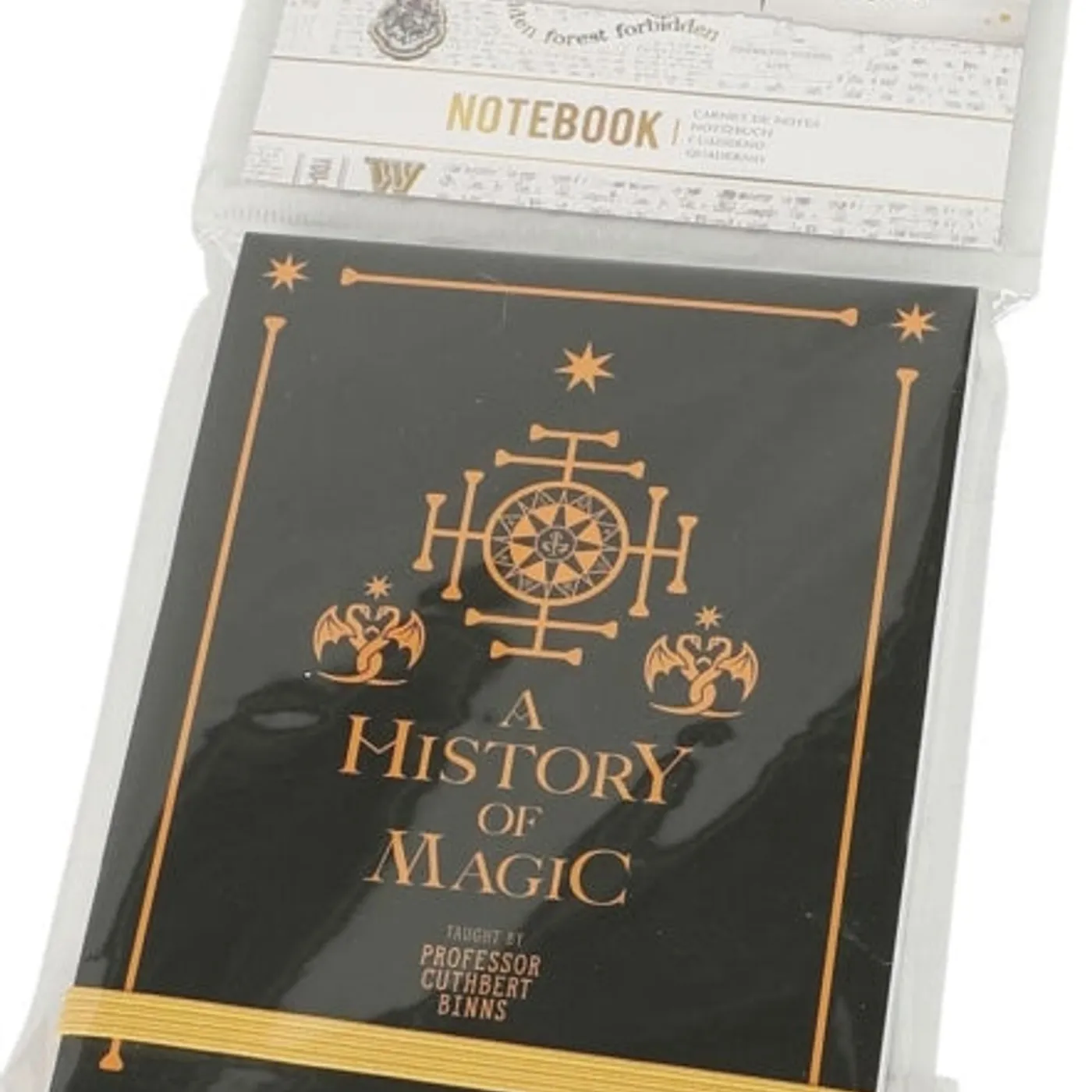 Harry Potter Notebook - Pocket Notebook - Harry Potter (History Of Magic)