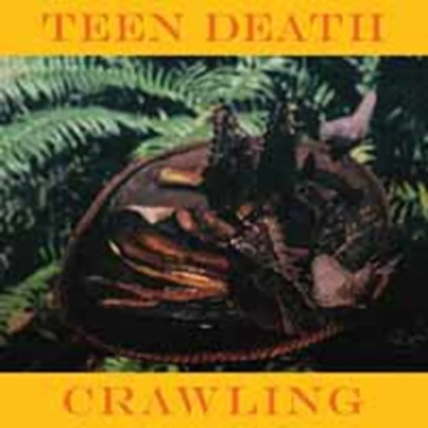 Teen Death 7Inch - Crawling (Coloured Vinyl)