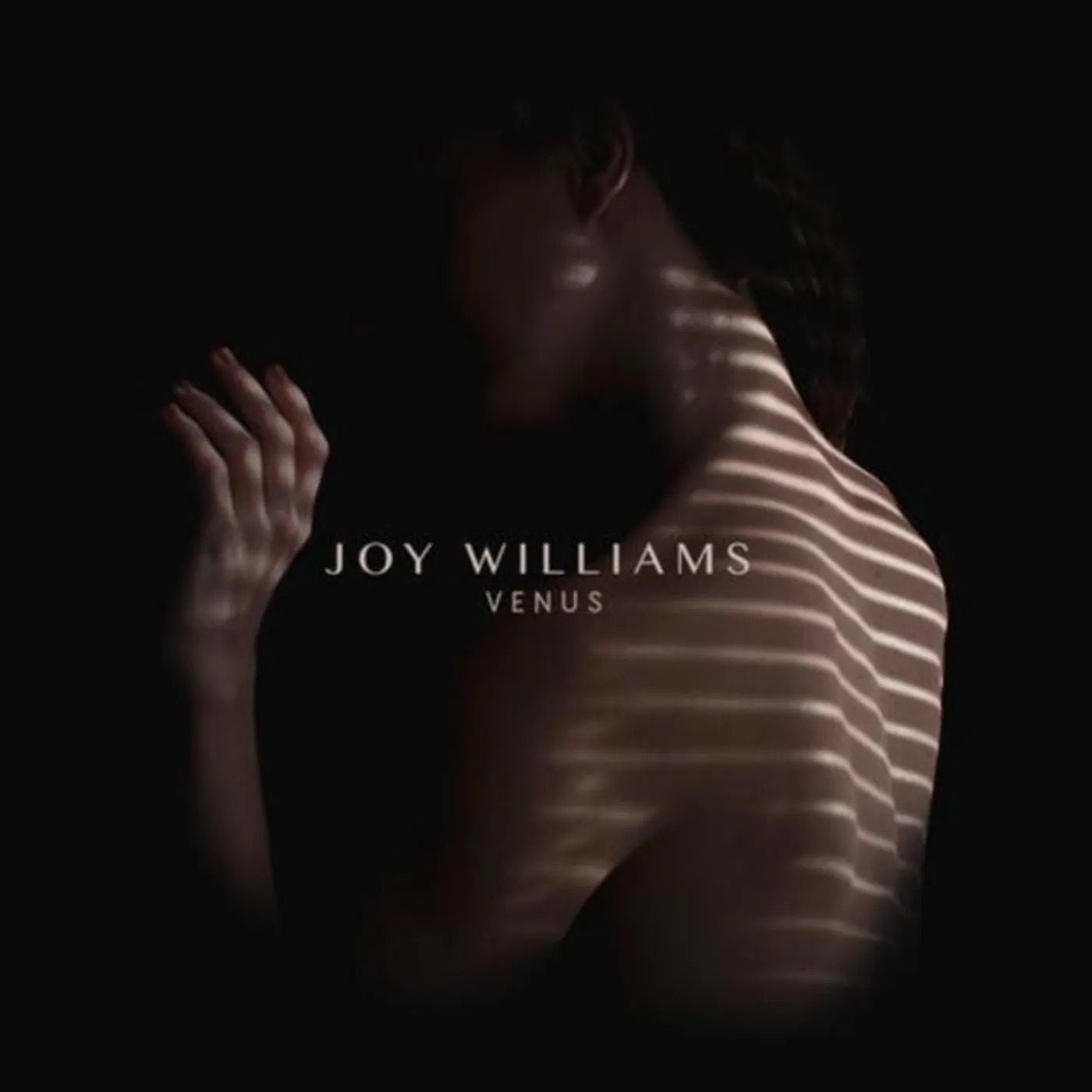 Joy Williams CD - Venus