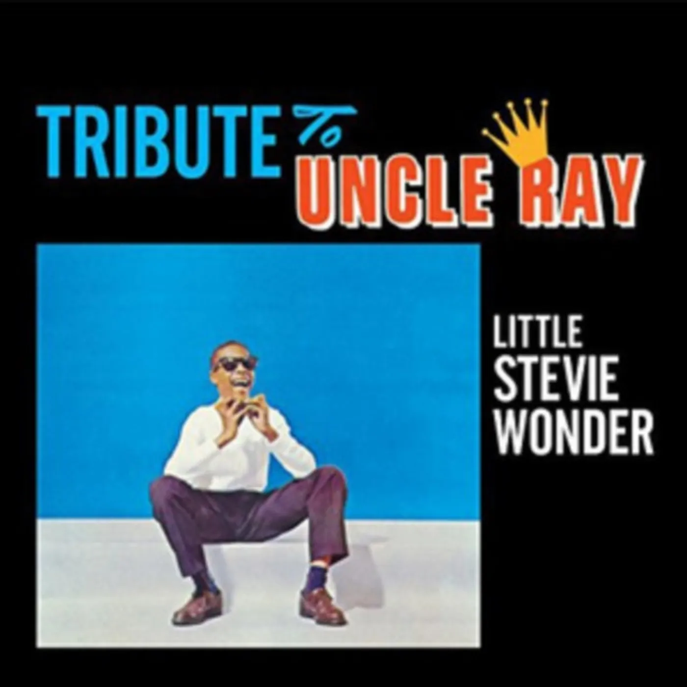 Stevie Wonder CD - Tribute To Uncle Ray + The Jazz Soul Of Little Stevie